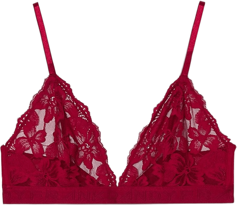 Fab-u-lace Bra, från Frank Dandy, i färgen wine.