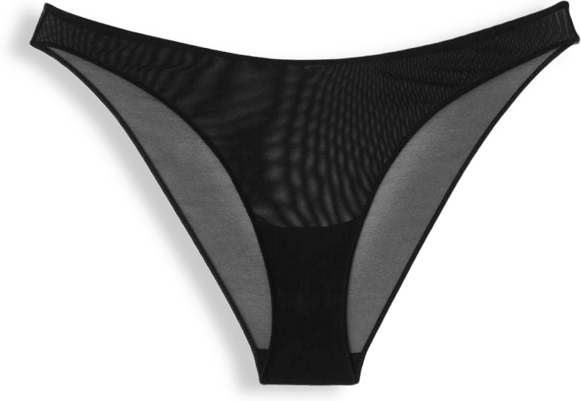 Mesh Bikini Briefs