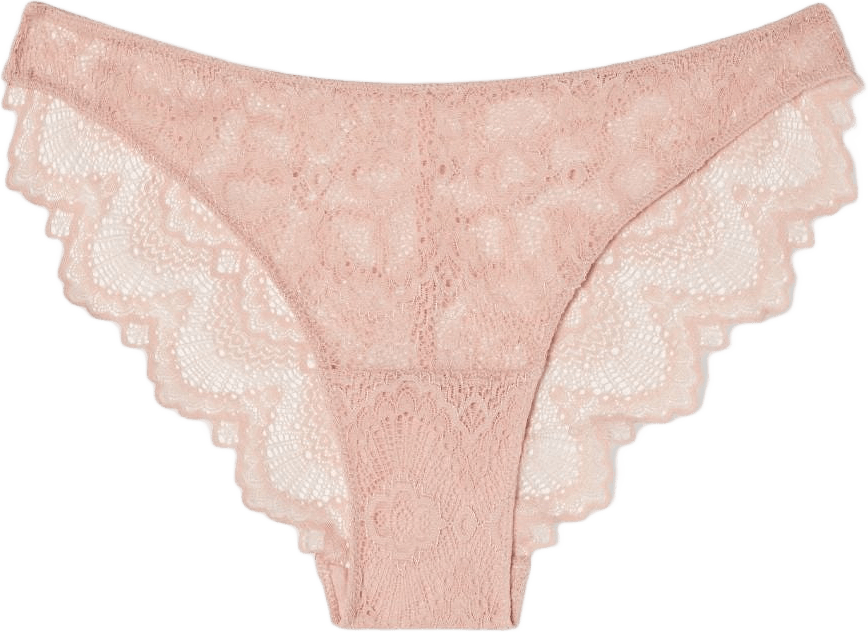 Lace Bikini Briefs