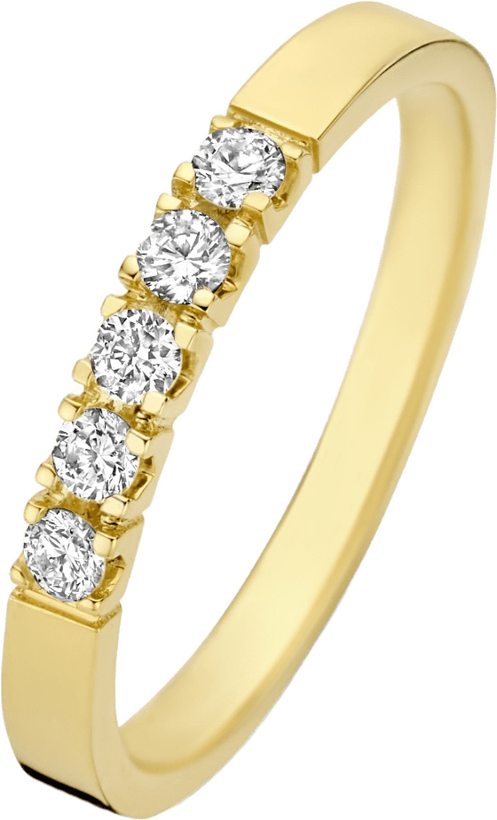 De La Paix 14 Karat Guld Ring