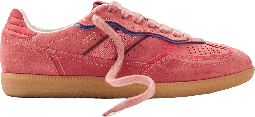 Tb.490 Rife Pink Leather Sneakers