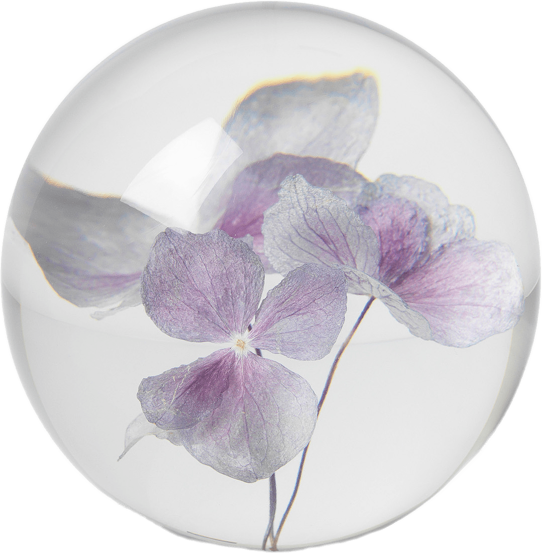 Hortensia Pappersvikt, Brevtyngd, från In Flore, i färgen Lila.