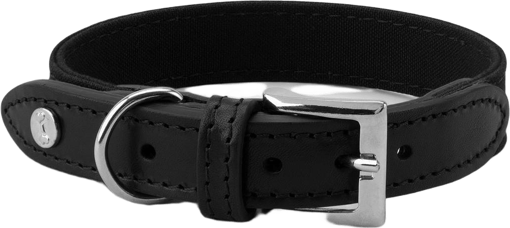 Hundhalsband Signature, från Denjo Dogs, i färgen black on black.