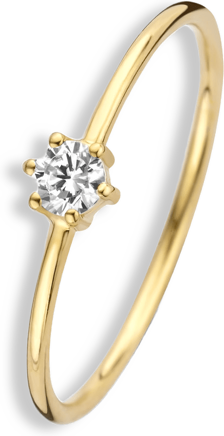 Le Marais 14 Karat Guld Ring