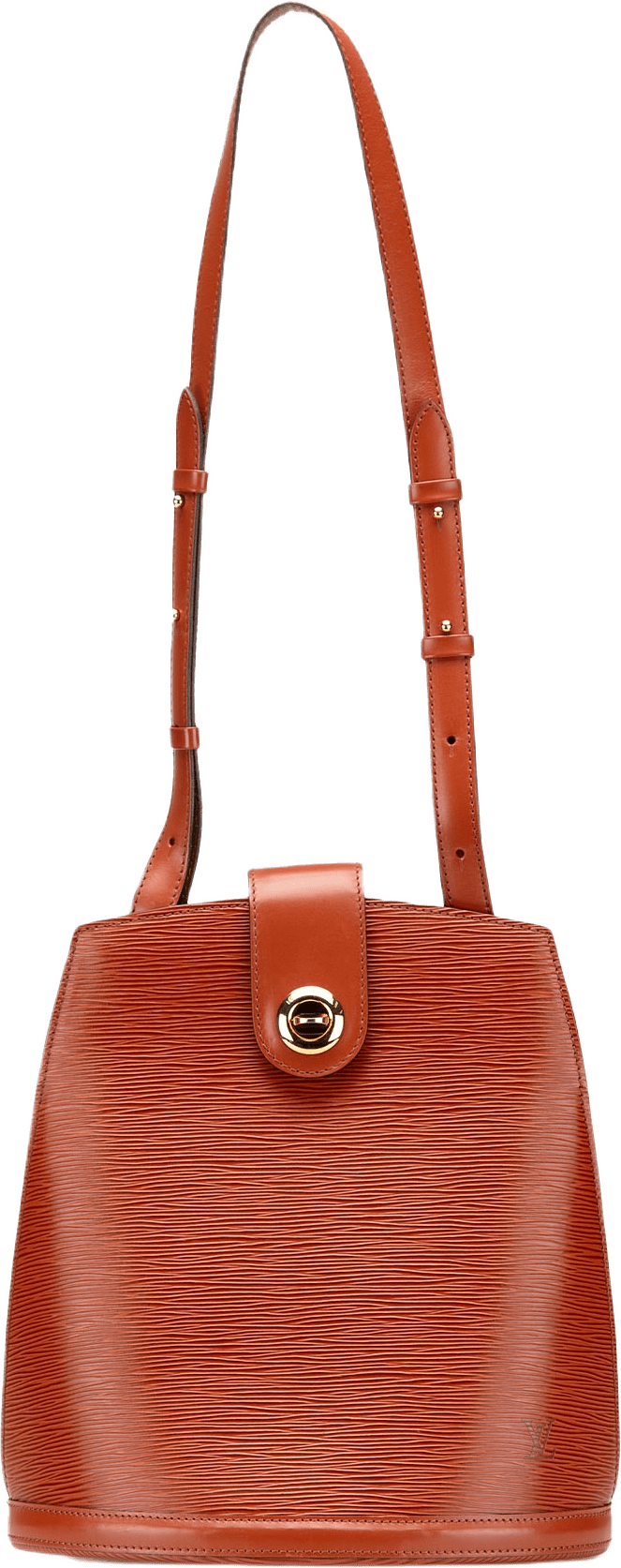 Louis Vuitton Epi Cluny, från Luxclusif, i färgen brown.