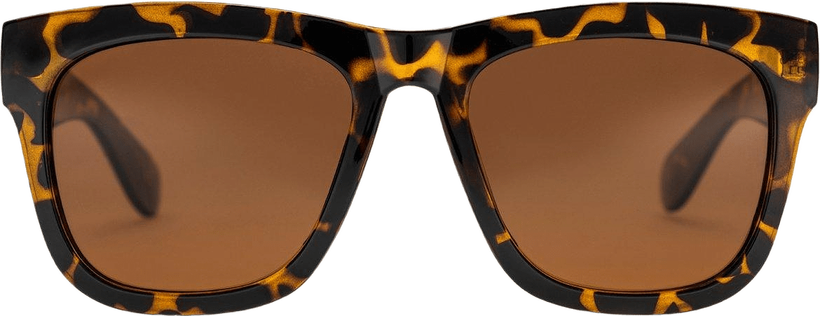 Haze, från CHPO, i färgen turtle brown/brown.