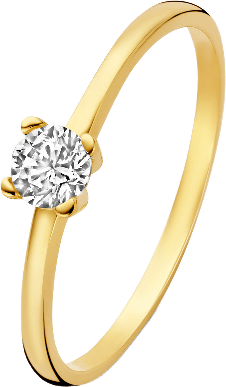 Le Marais 14 Karat Guld Ring