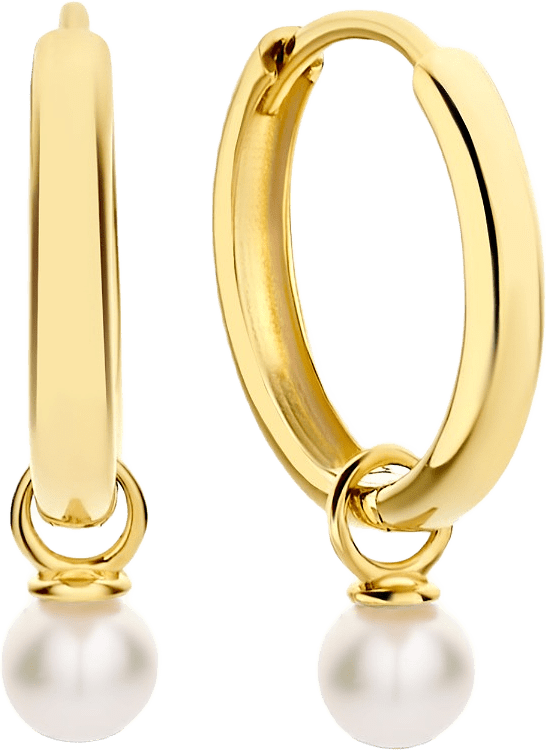 Belleville 14 Karat Guld Creoler