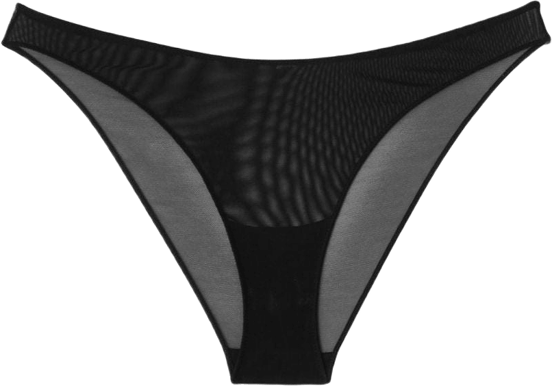 Mesh Bikini Briefs