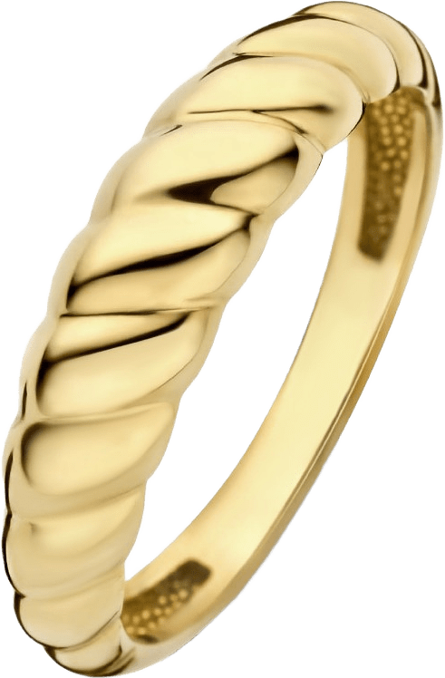 Aidee 14 Karat Guld Ring