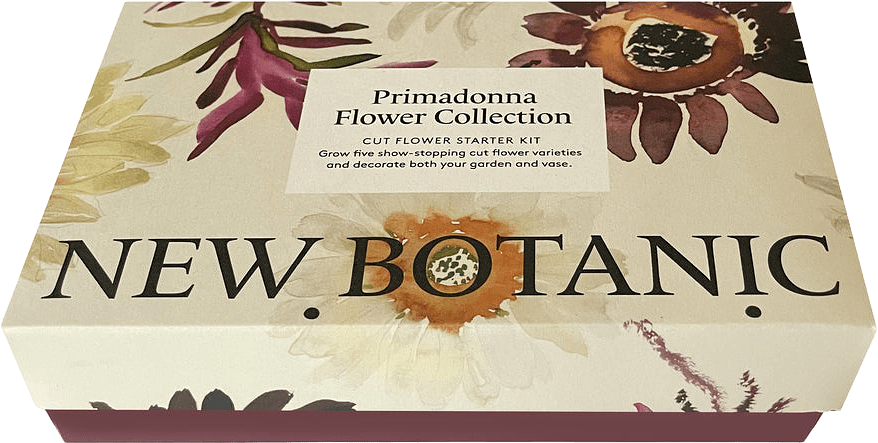 Primadonna Flower Collection, från New Botanic, i färgen multi.