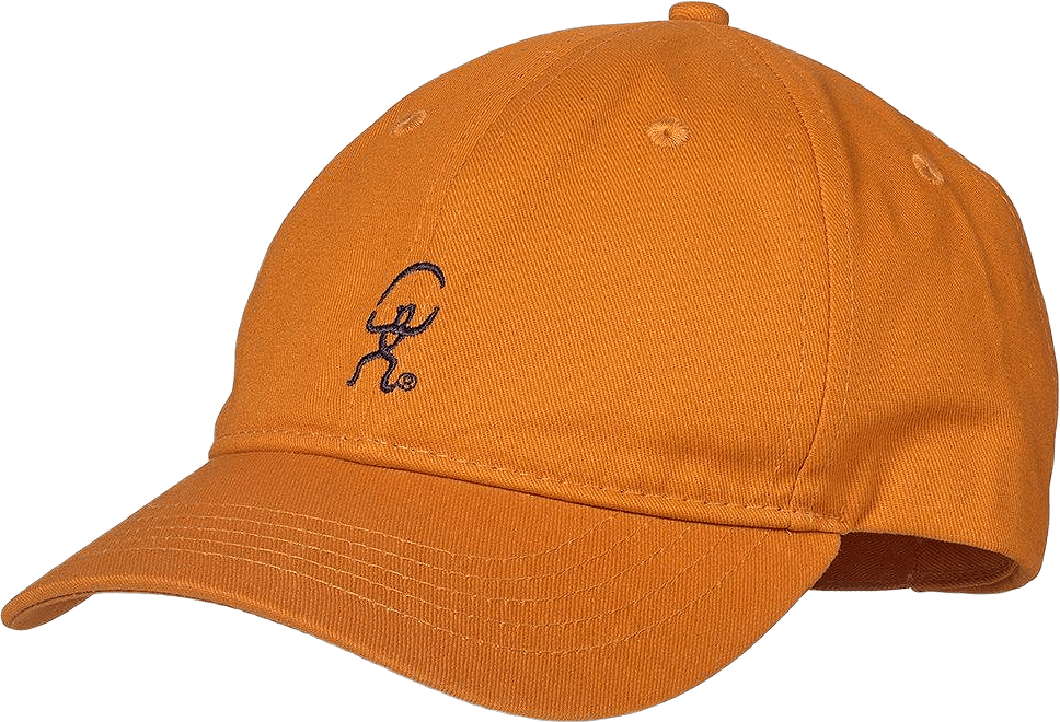 Isbjörn Playoff Baseball Cap, från ISBJÖRN of Sweden, i färgen lion.