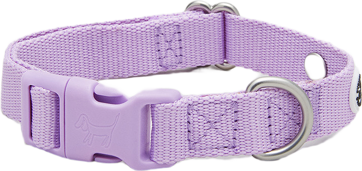 Lilac Hundhalsband, från Barkalot, i färgen lilac.