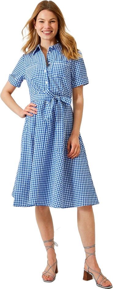 - Lexi Dress Blue