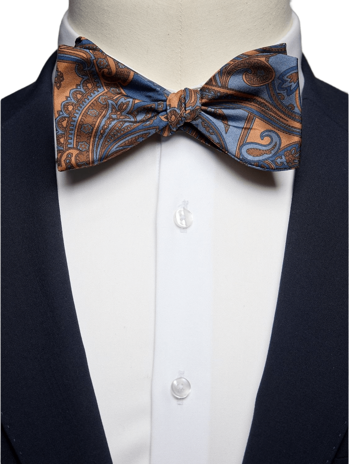 Bow Tie Paisley