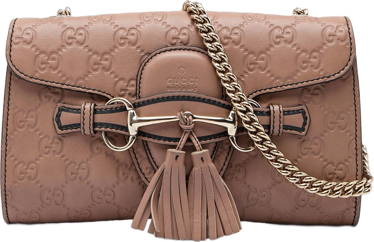 Gucci Small Guccissima Emily Crossbody, från Luxclusif, i färgen brun.