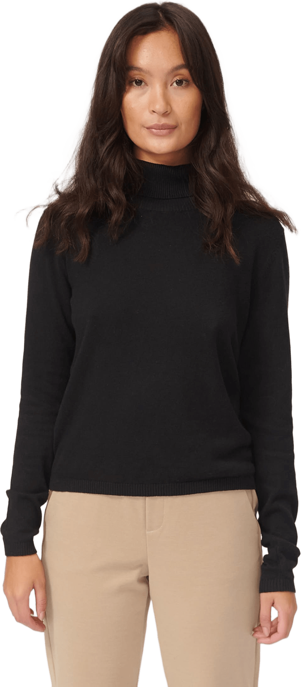 Basic Knit Roll Neck