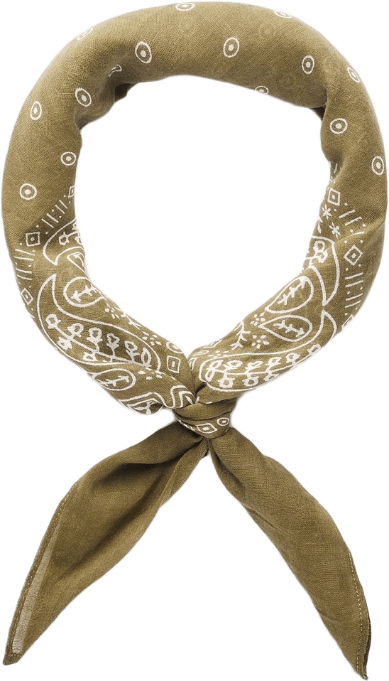 Cotton Paisley Bandana
