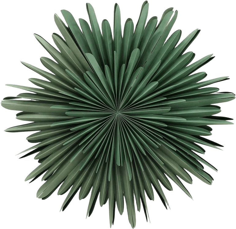 Sälen Adventsstjärna -80cm, från Venture Home, i färgen green,white.