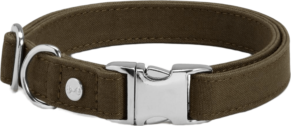Hundhalsband Signature Go, från Denjo Dogs, i färgen khaki green.