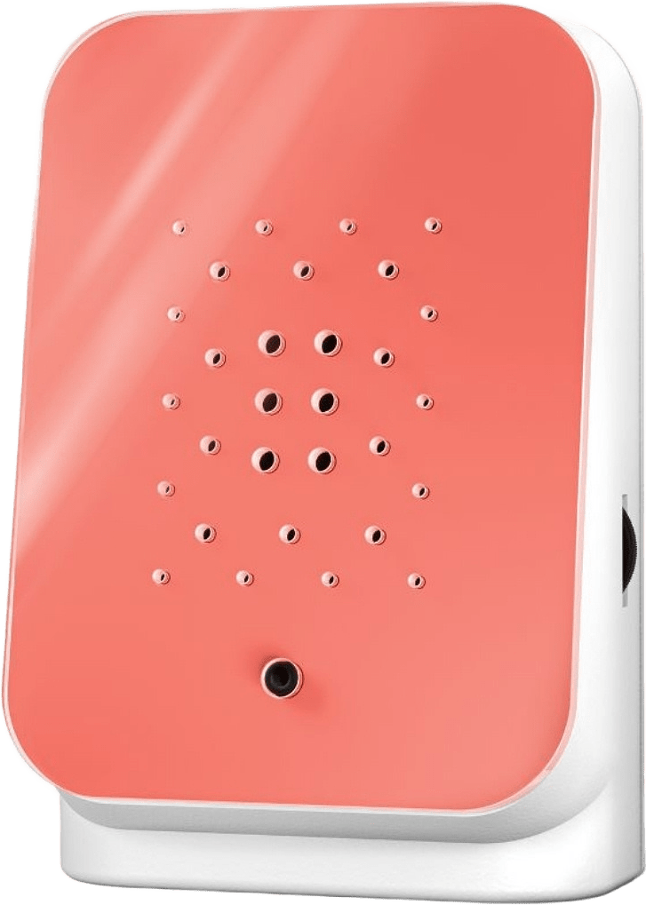 Junglebox Speldosa Rosy