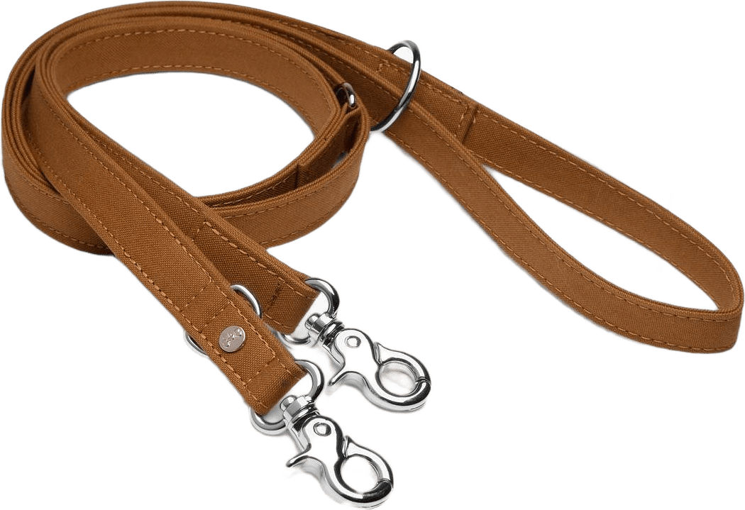 Multikoppel Signature Go, från Denjo Dogs, i färgen Senapsgul.