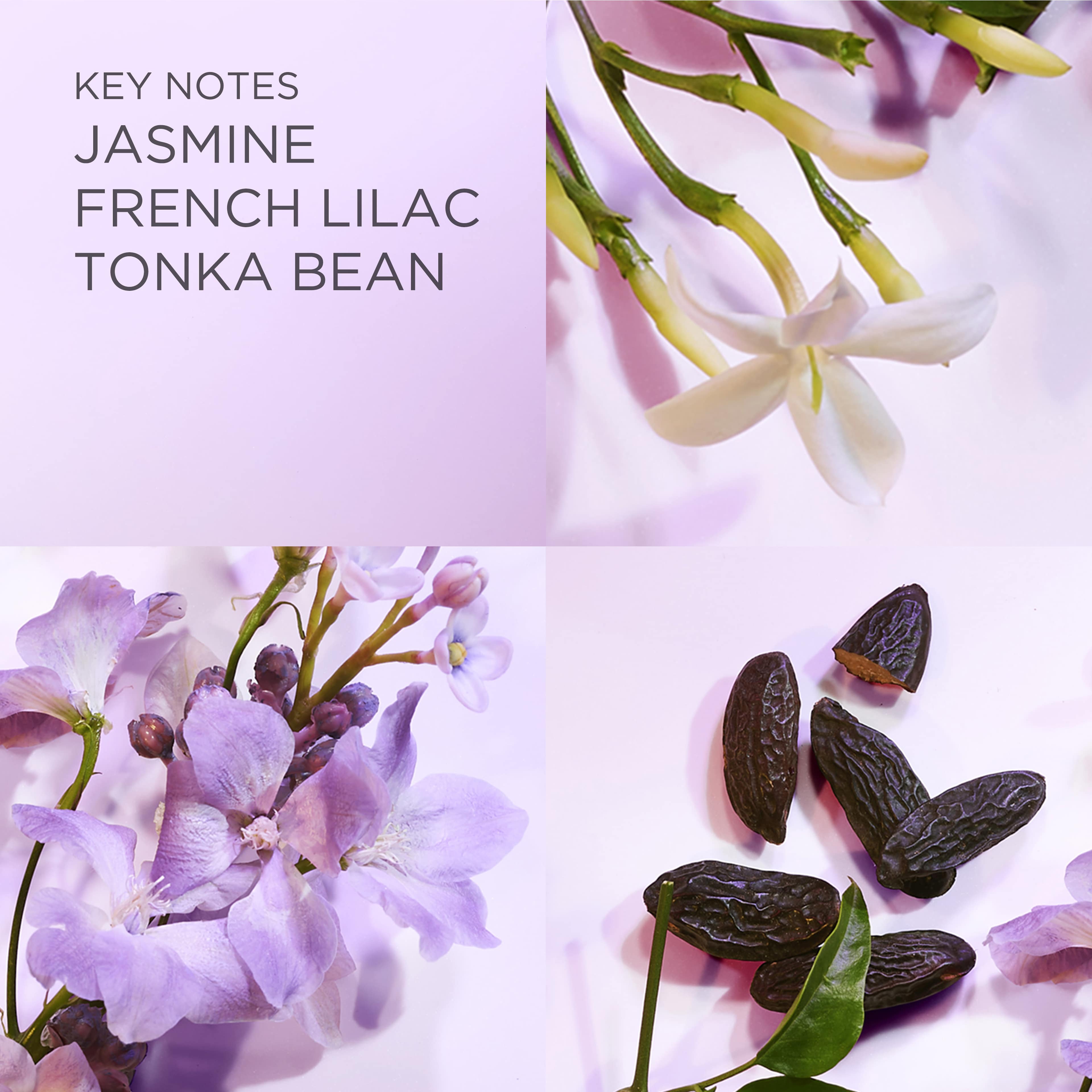 White Tea Lilac White Tea Lilac Eau de Toilette