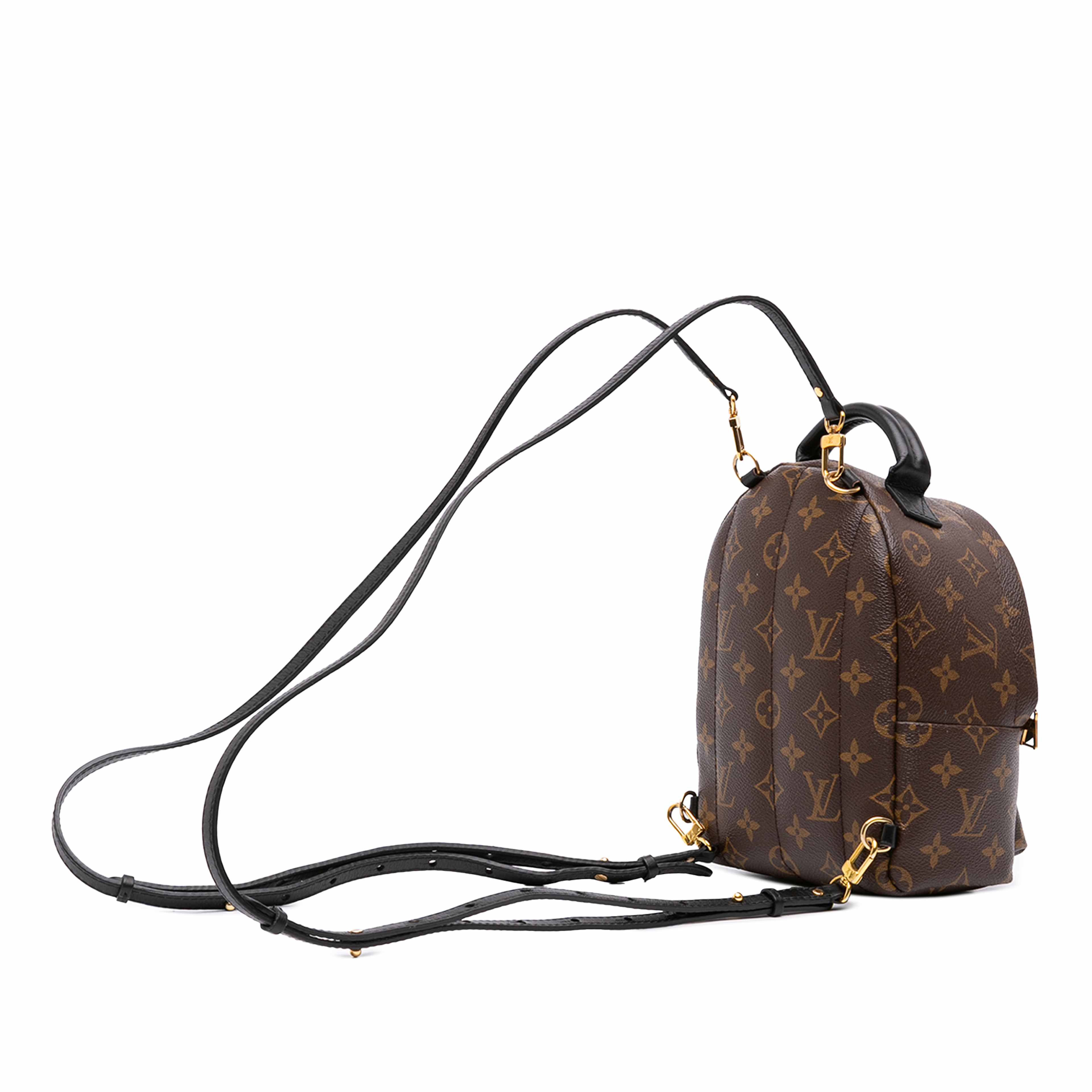 Louis Vuitton Monogram Mini Palm Springs, från Luxclusif, i färgen brun. Klicka för att öppna bilden i stort format