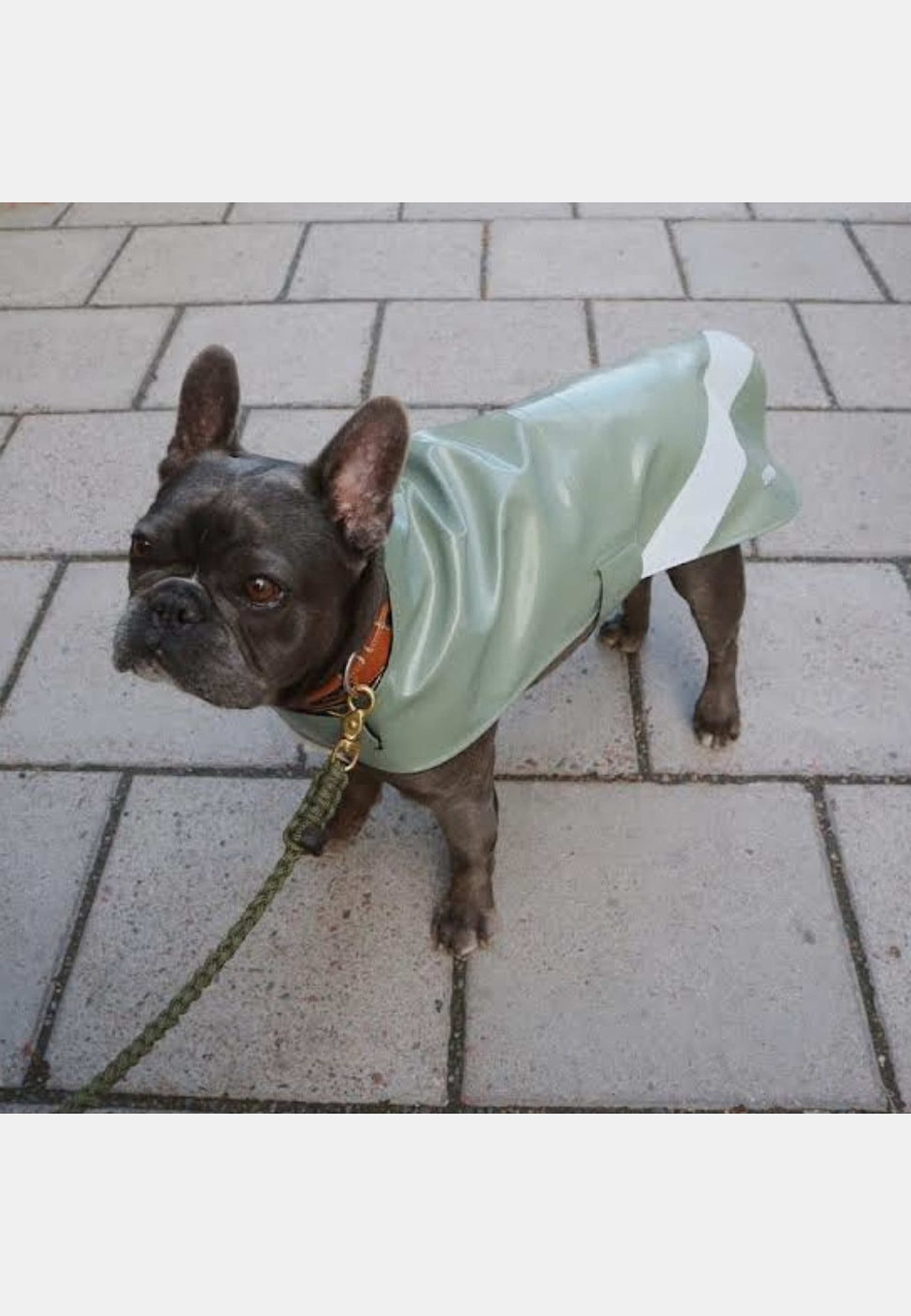 Dog Raincoat Opal, från Stutterheim, i färgen khaki green. Klicka för att öppna bilden i stort format