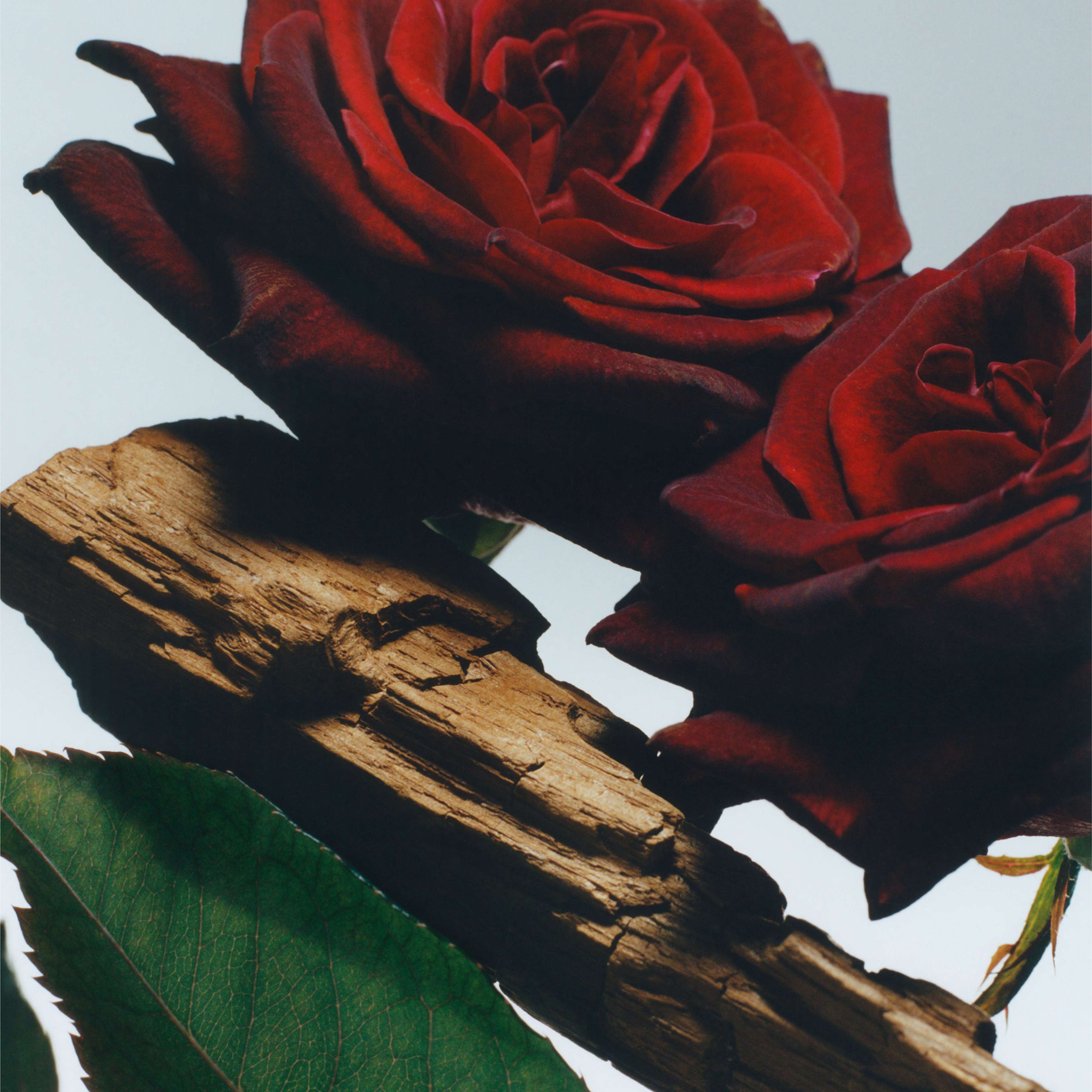 Velvet Rose & Oud Cologne Intense All Over Body Spray, från Jo Malone London. Klicka för att öppna bilden i stort format