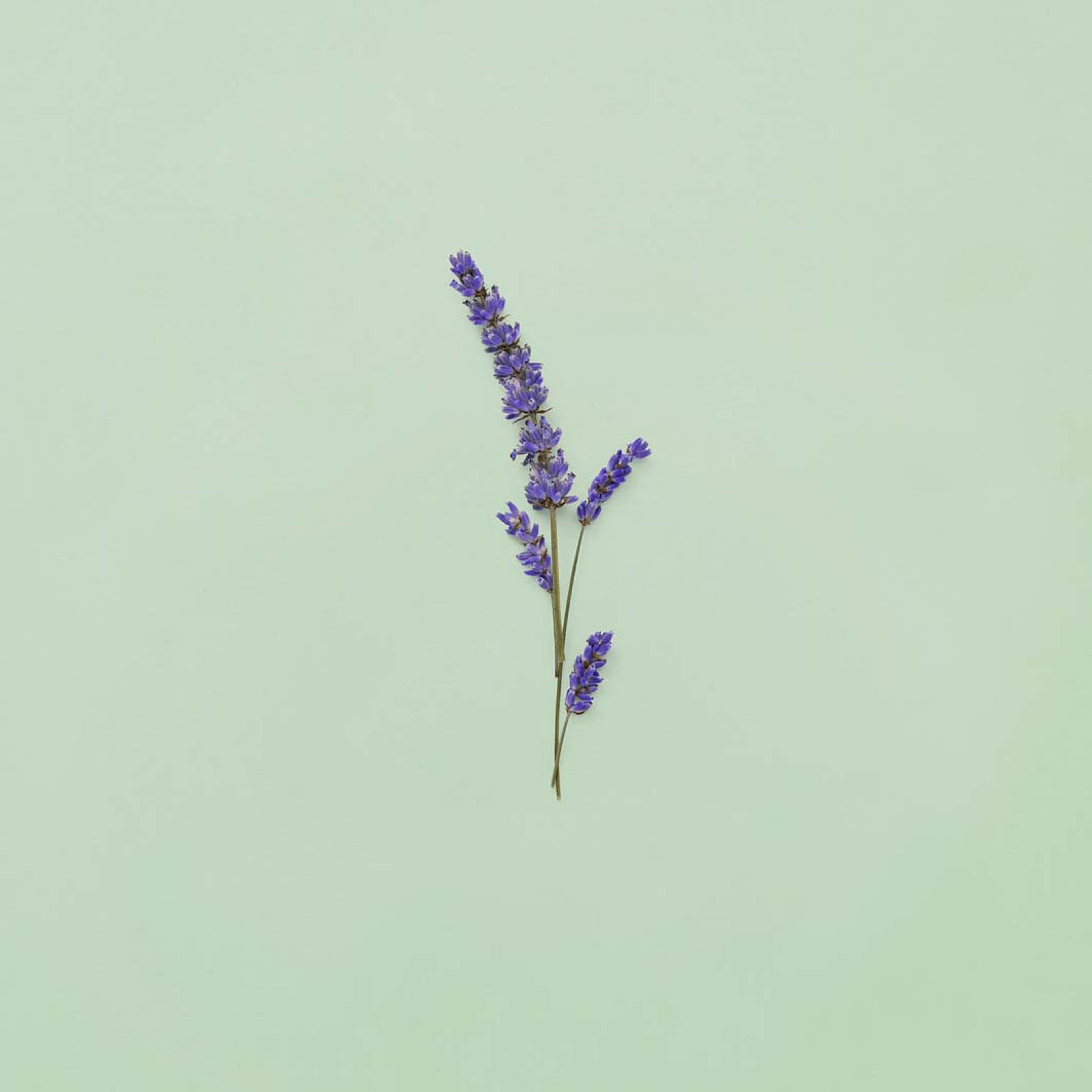 Guilty Pour Homme Eau de Toilette, från Gucci. Klicka för att öppna bilden i stort format