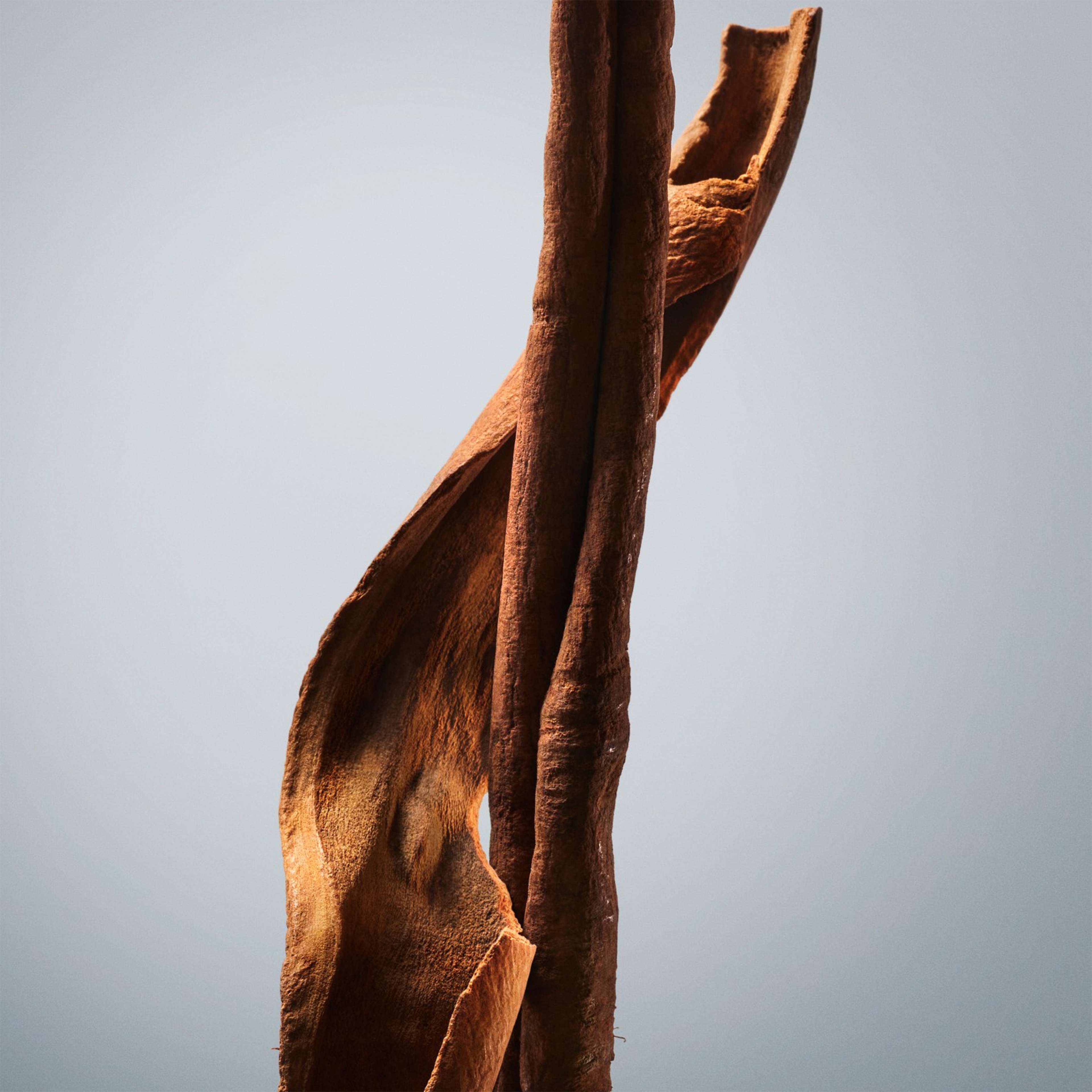 Boss Bottled EdT, från HUGO BOSS. Klicka för att öppna bilden i stort format