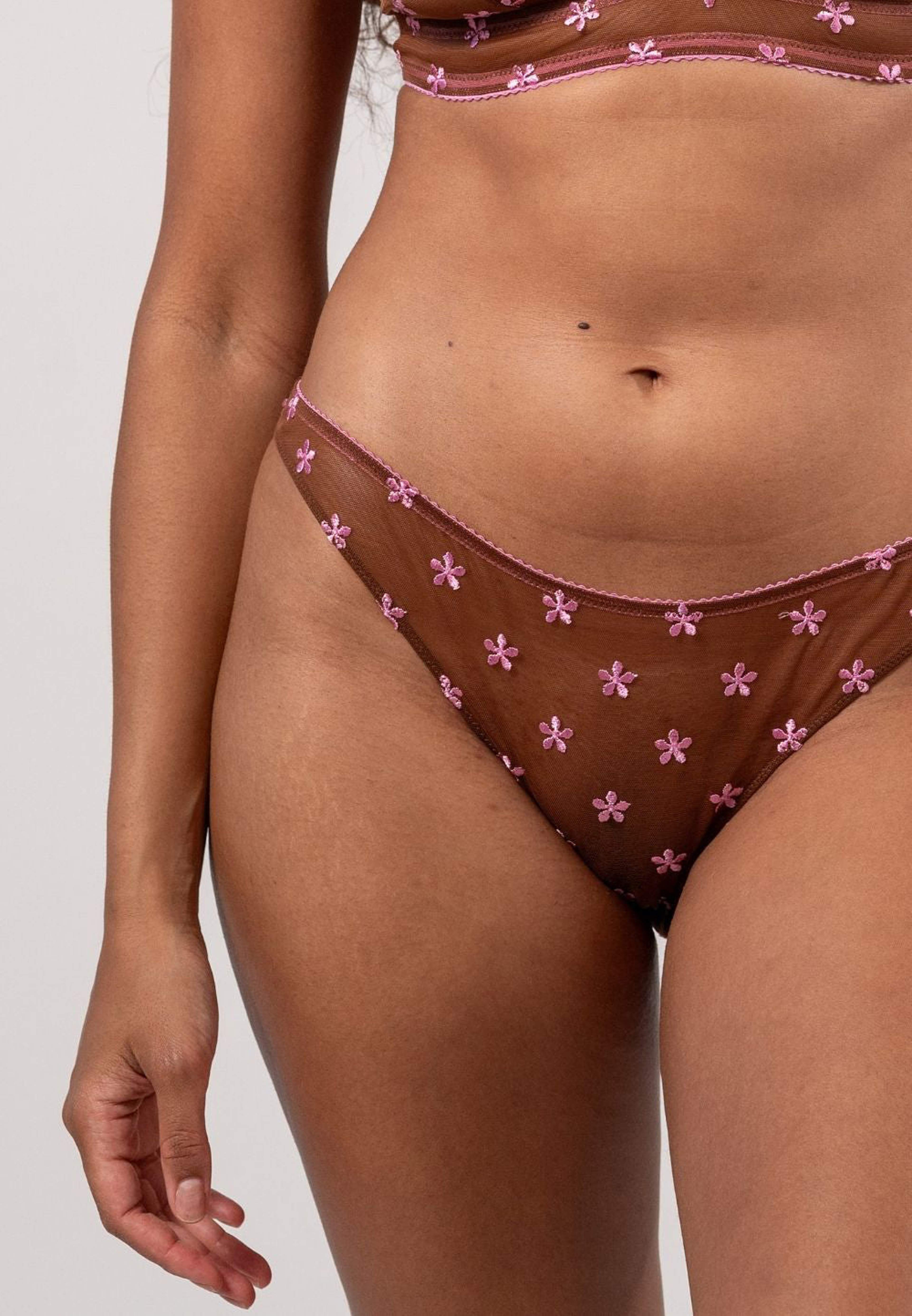 Mesh Bikini Briefs