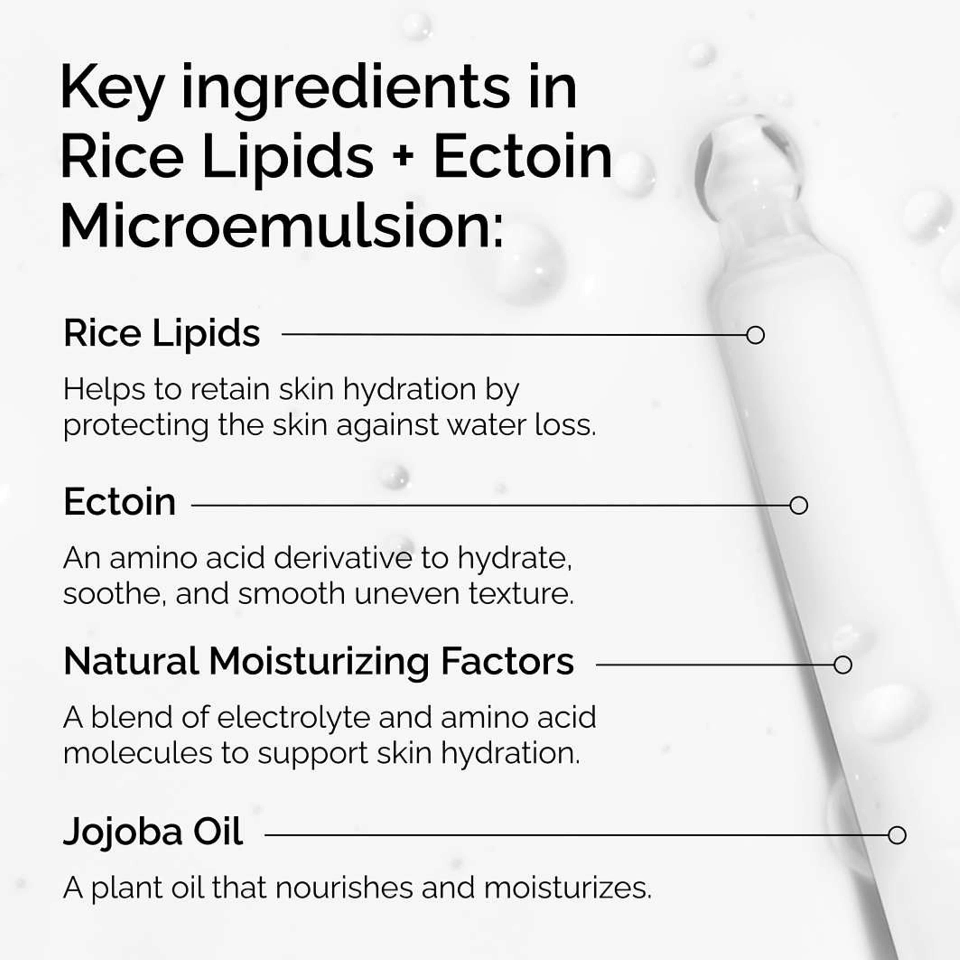 Rice Lipids + Ectoin
Microemulsion, från The Ordinary. Klicka för att öppna bilden i stort format