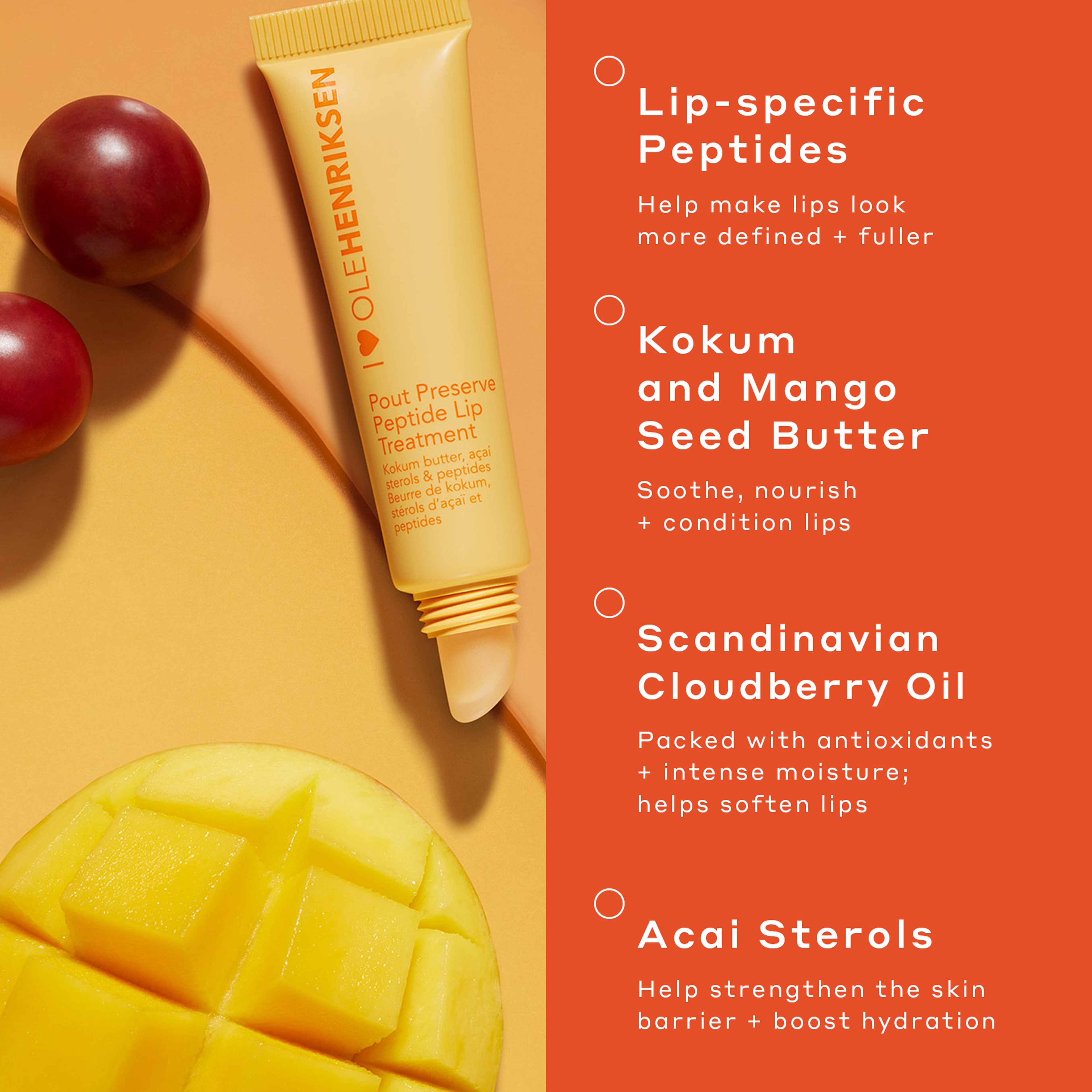 Pout Preserve Lip Treatment