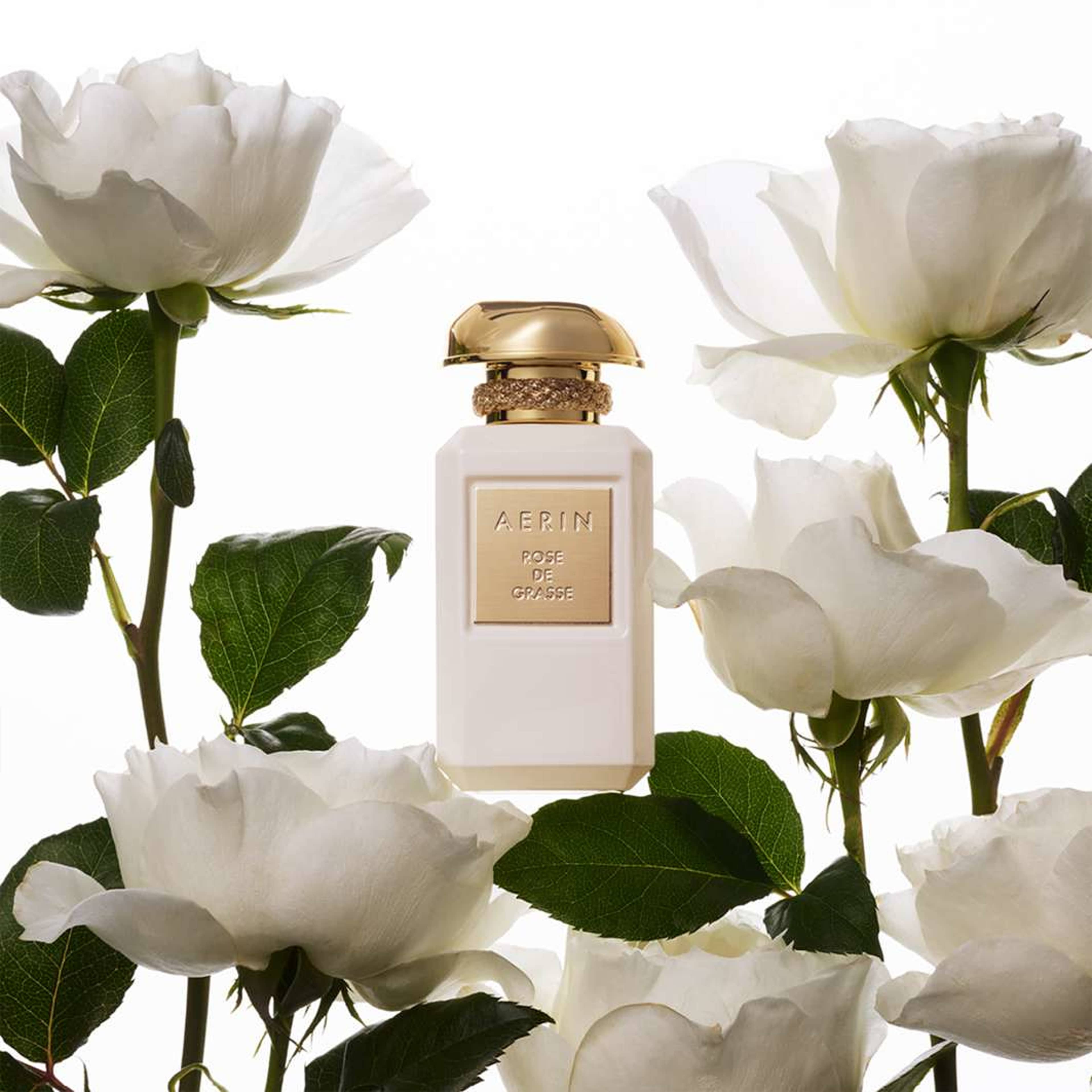 Rose de Grasse Parfum, från Aerin. Klicka för att öppna bilden i stort format