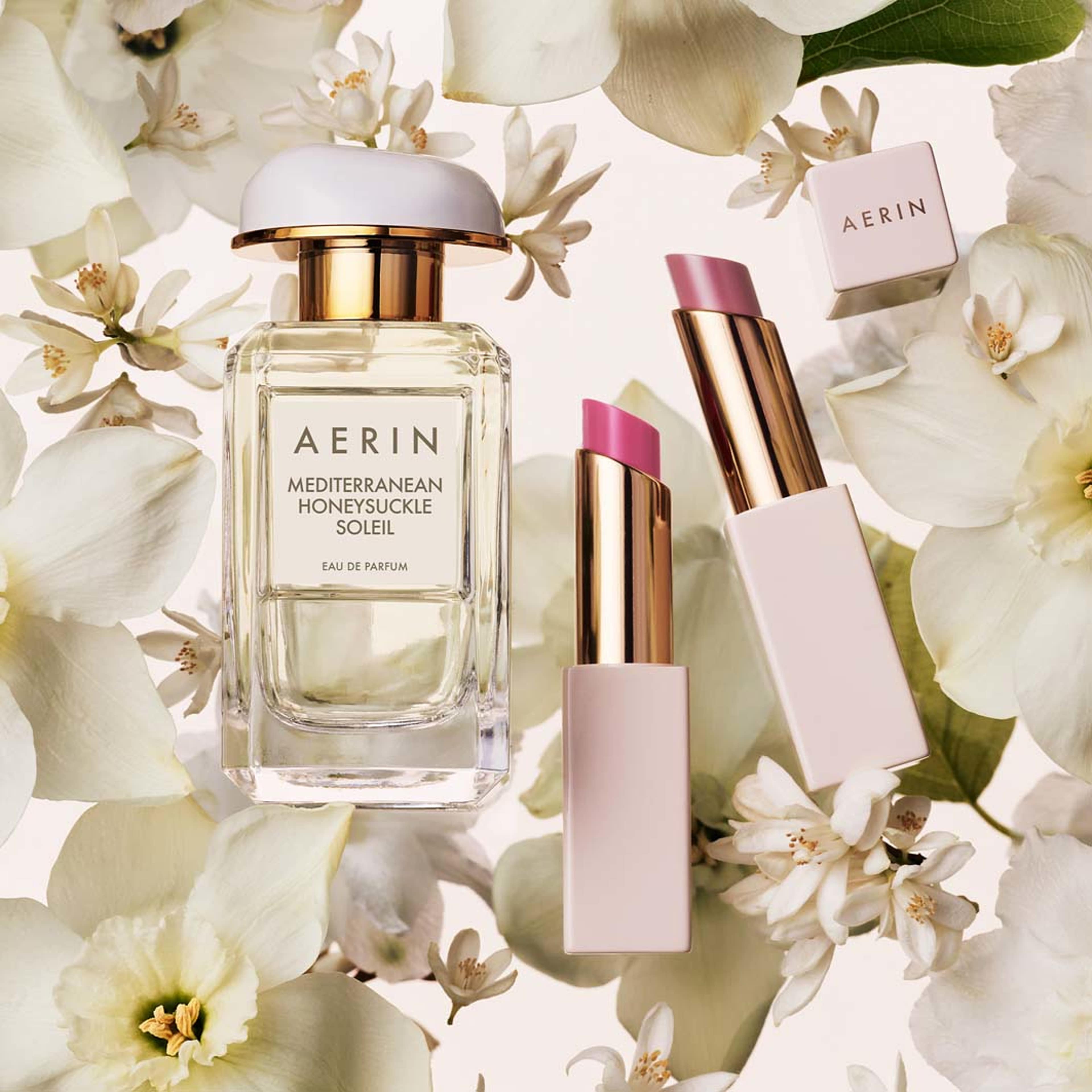 Aerin Tinted Lip Balm, från Aerin, i färgen Dusty Rose. Klicka för att öppna bilden i stort format