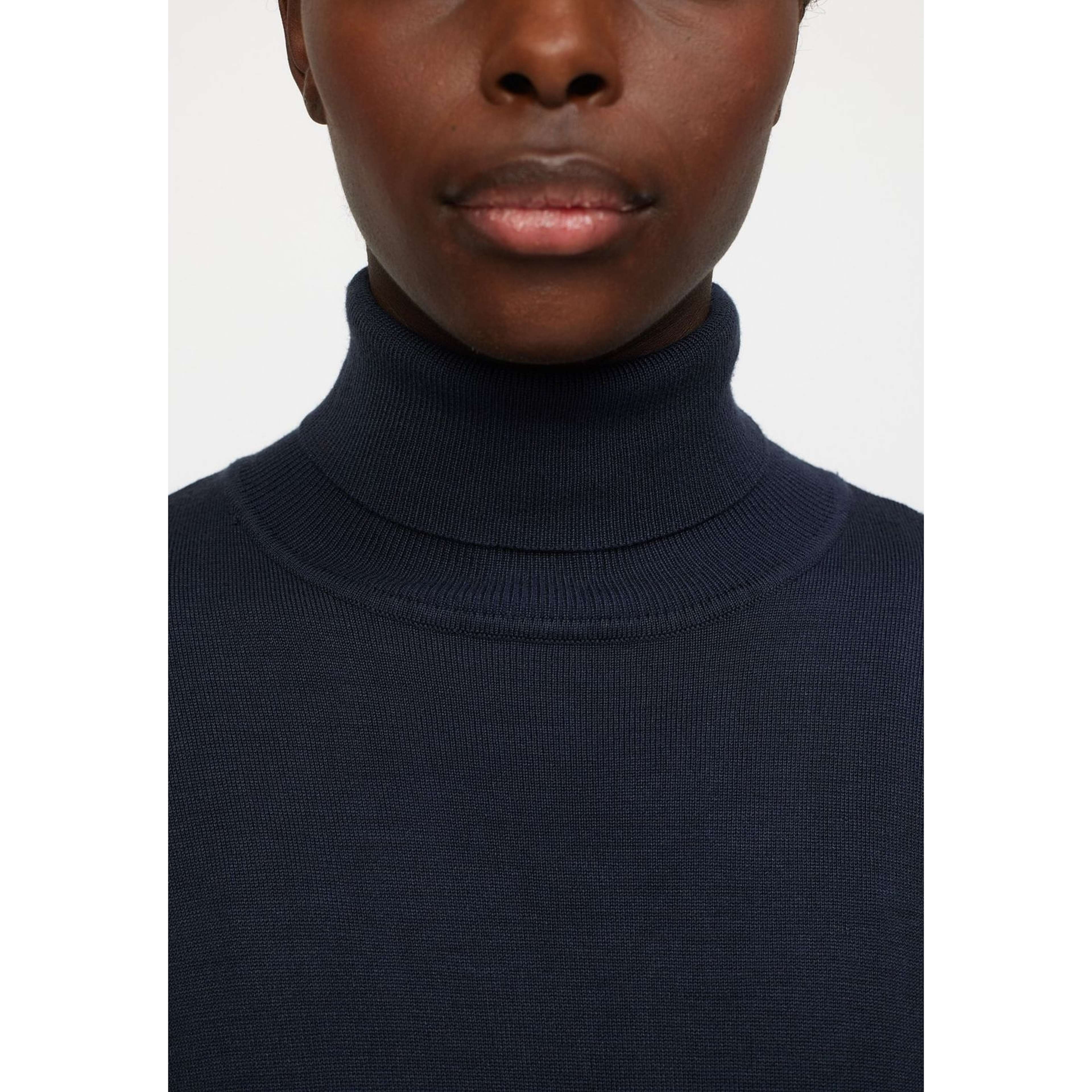 Srlea Rollneck Dress Knit