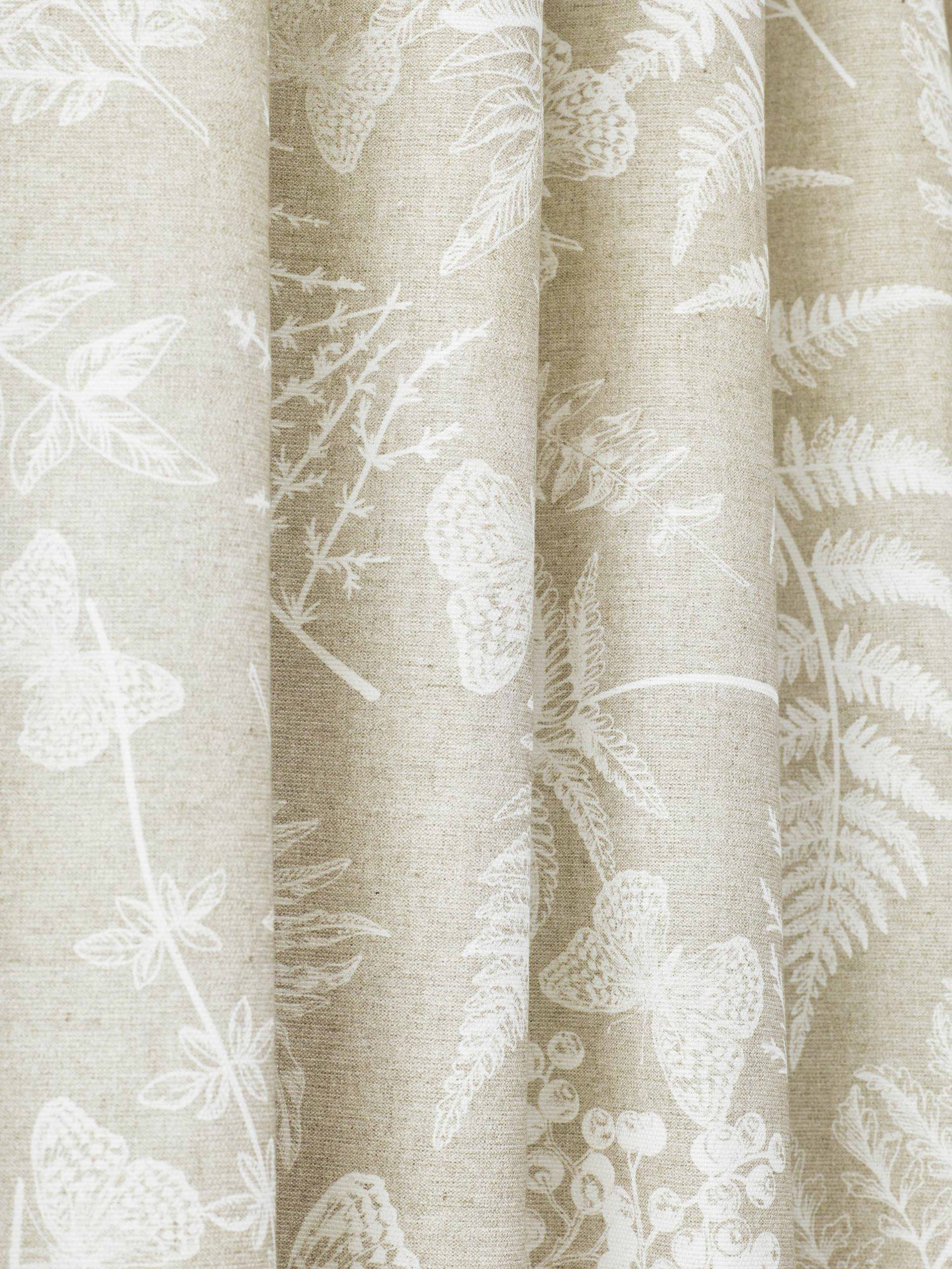 Fern Gardin 2p