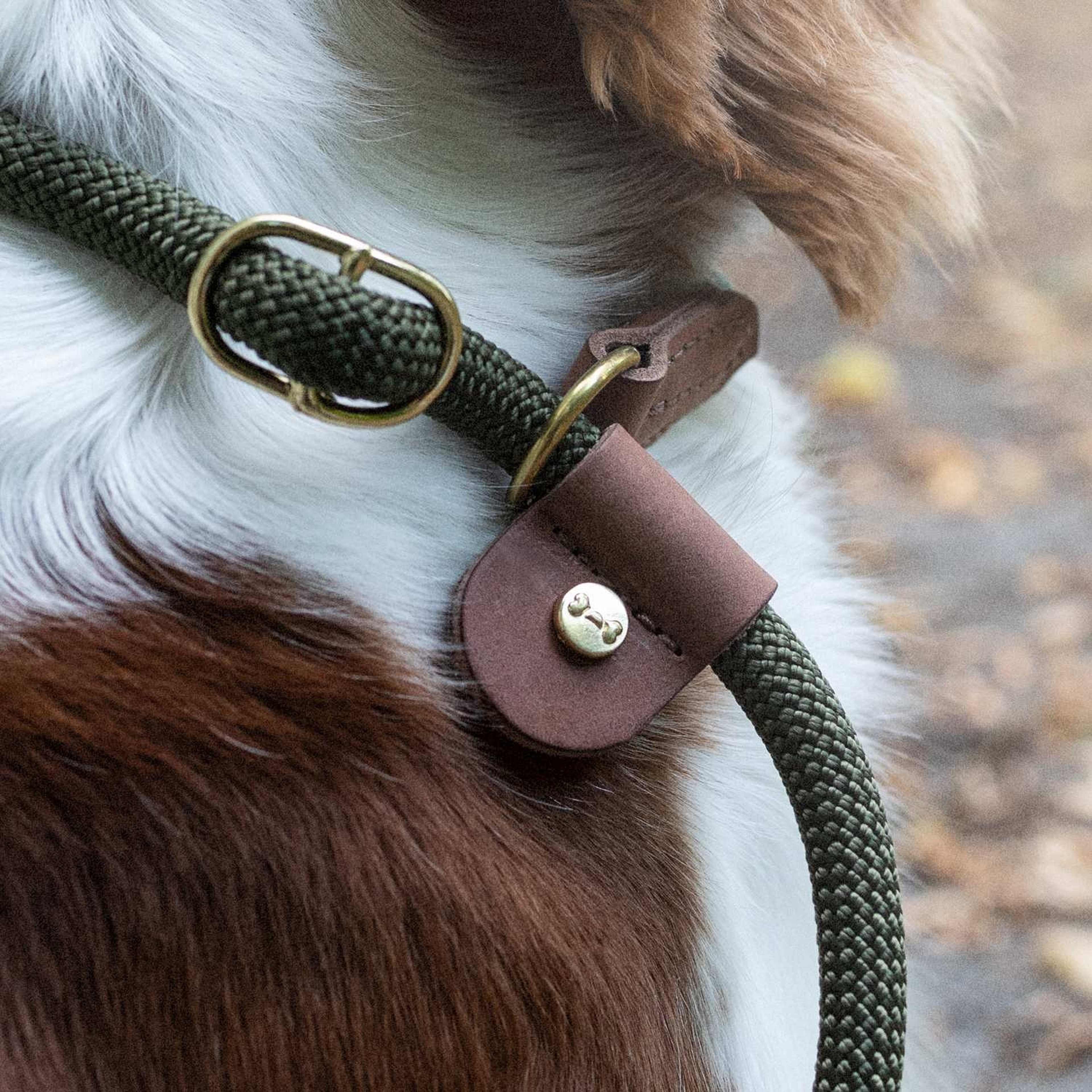 Retrieverkoppel Torekov Golden Sand 210 Cm - Denjo Dogs