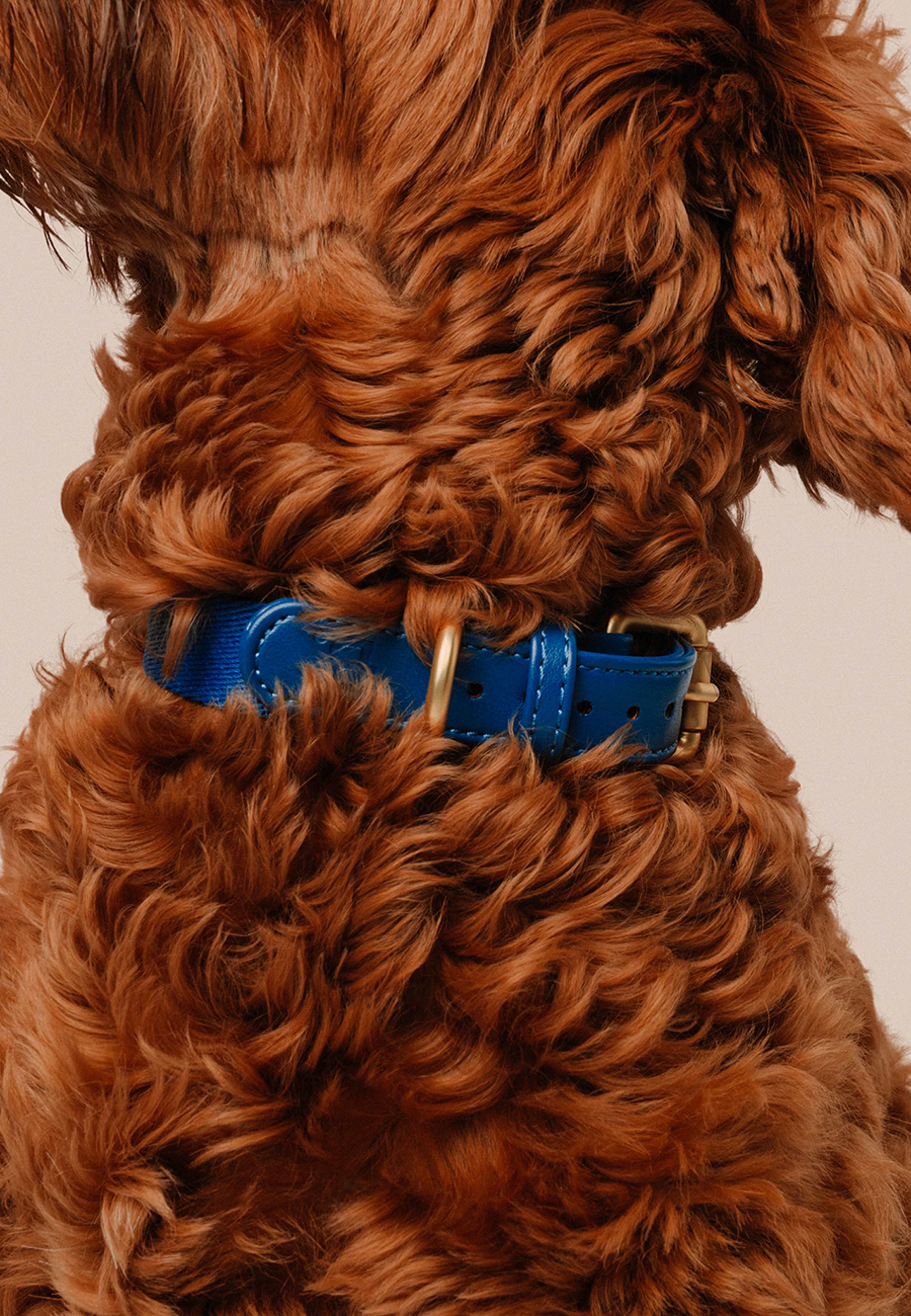 Veganskt Läder Hundhalsband