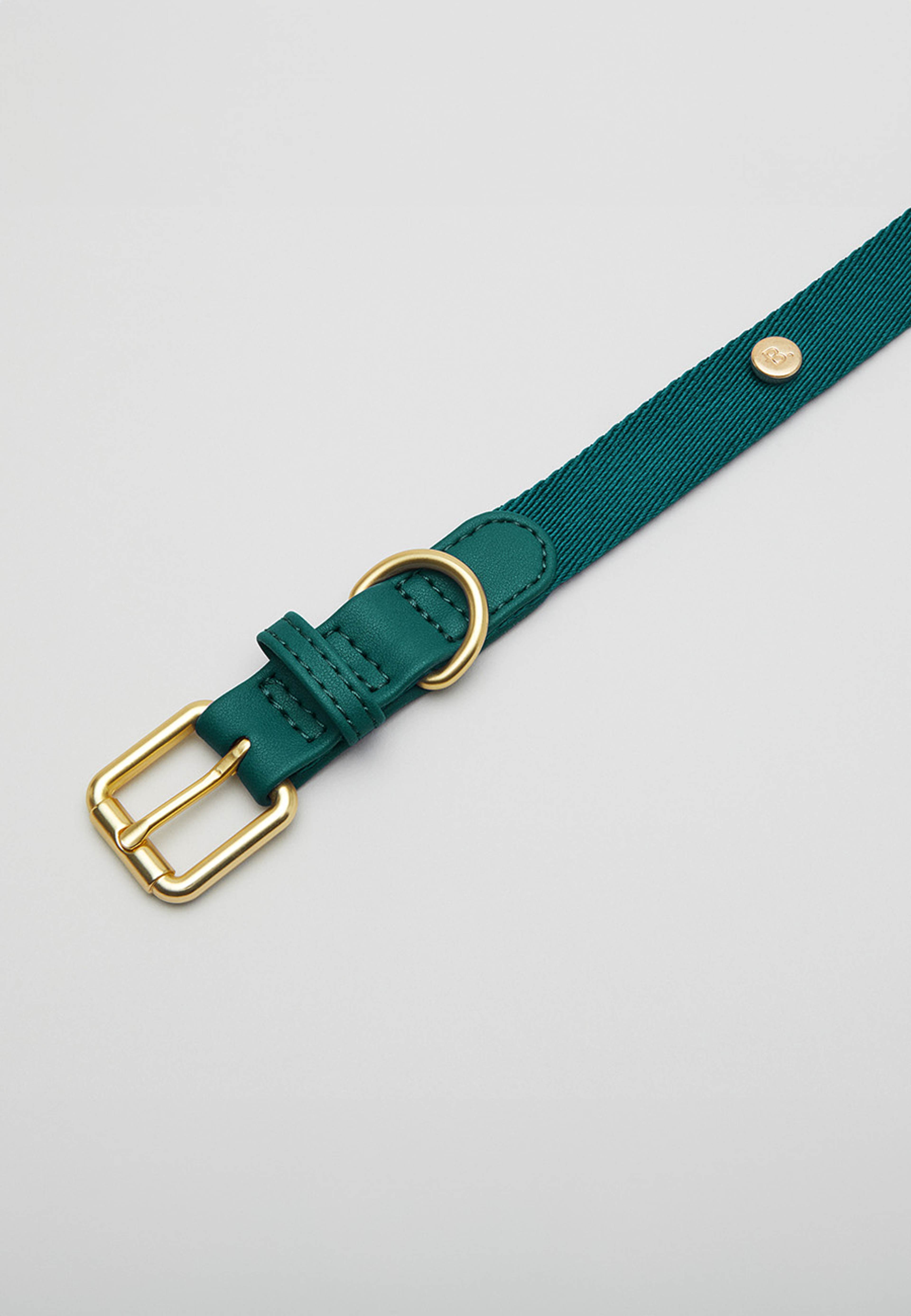 Veganskt Läder Hundhalsband