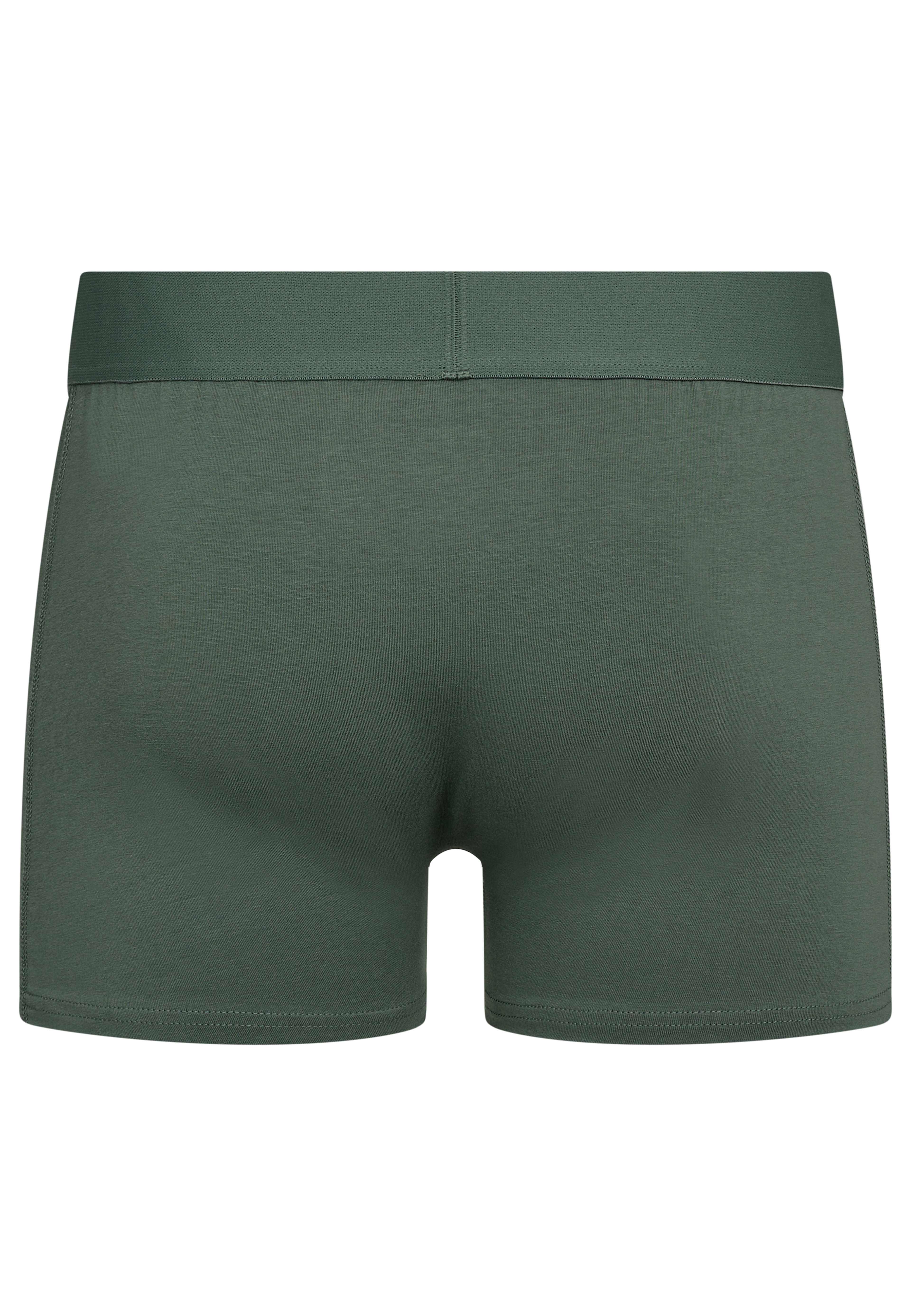 5-pack Bomull Underbyxor Gunnar, från Resteröds, i färgen multicolour. Klicka för att öppna bilden i stort format