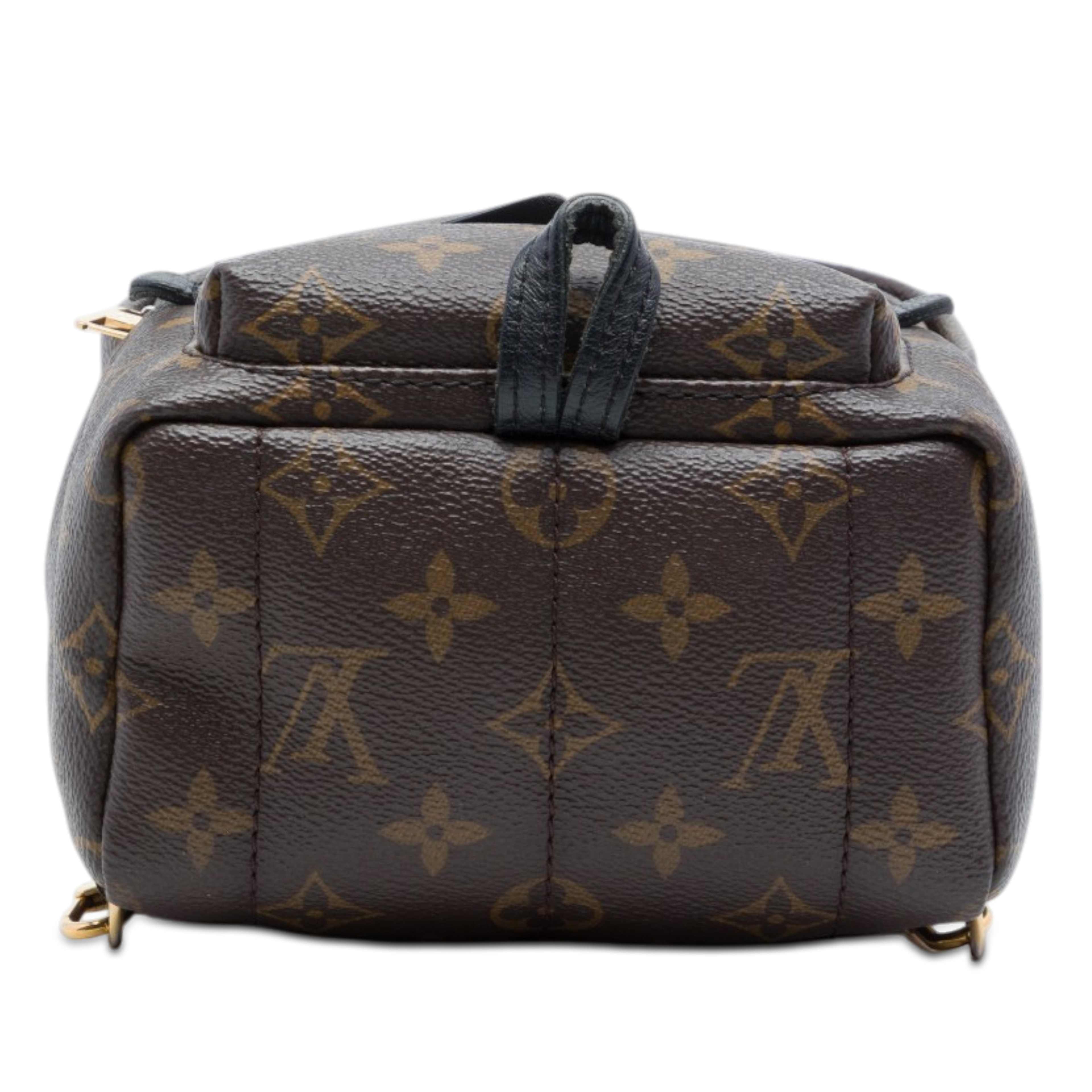 Louis Vuitton Monogram Mini Palm Springs, från Luxclusif, i färgen brun. Klicka för att öppna bilden i stort format
