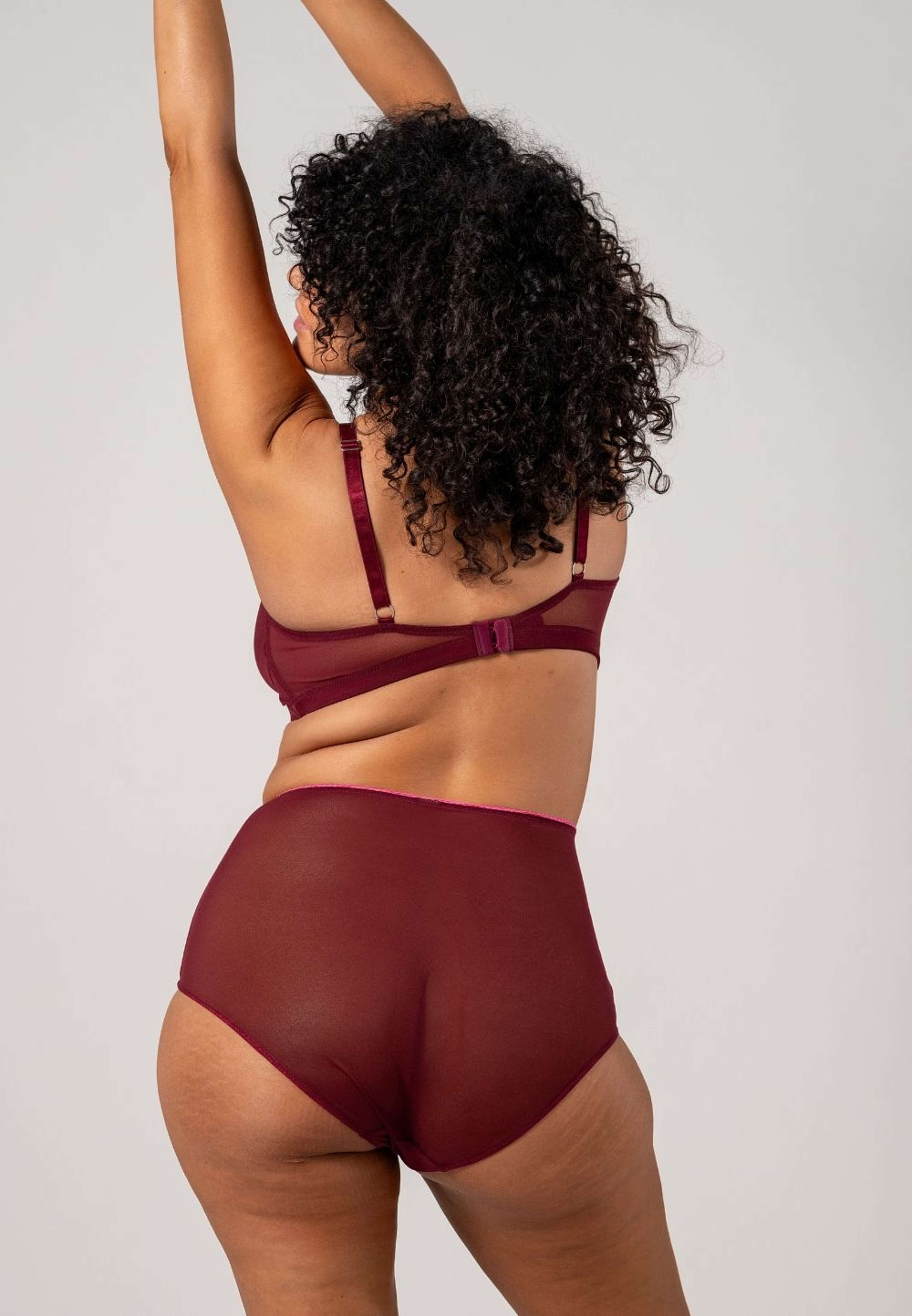 Mesh Highwaist Briefs