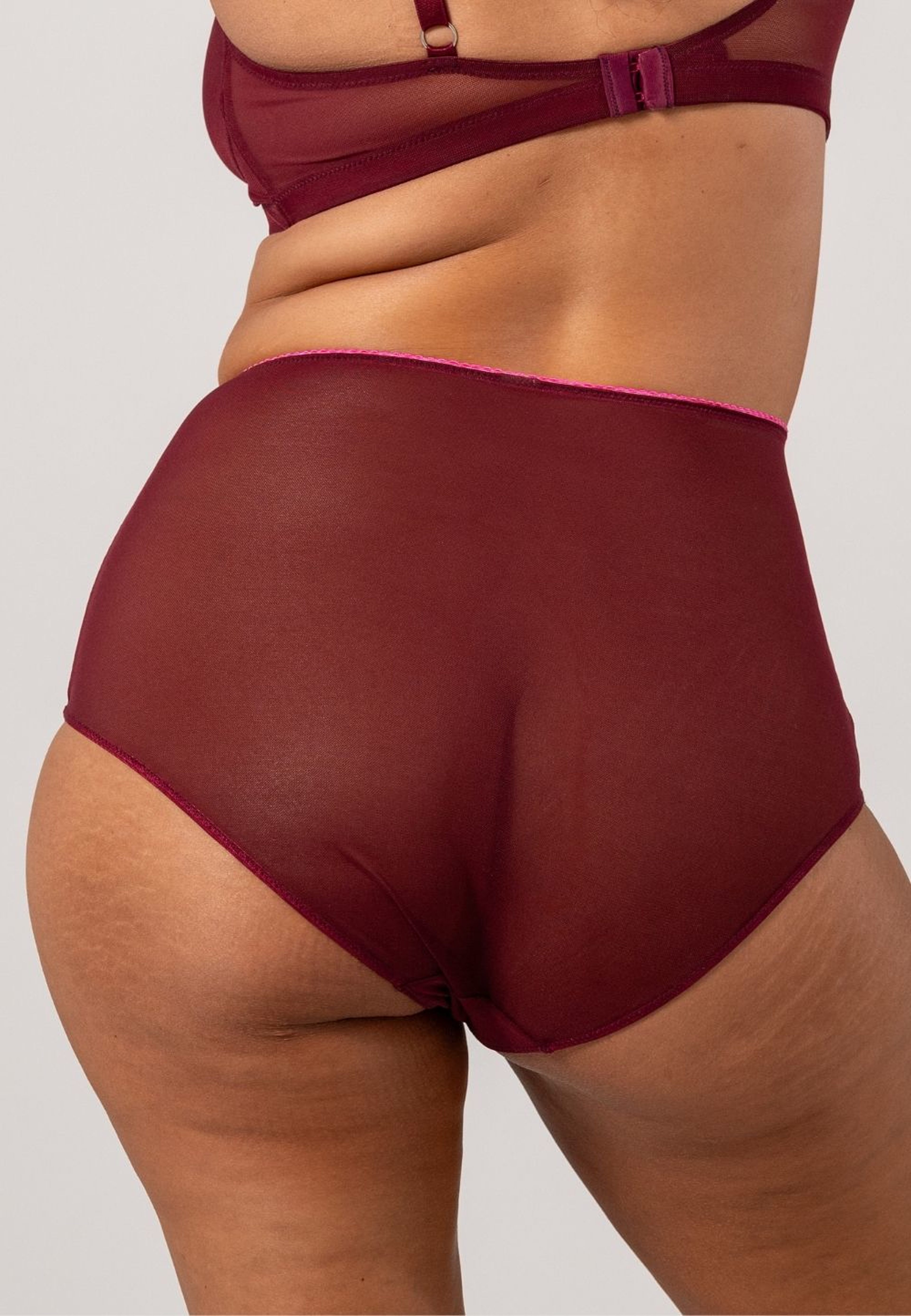 Mesh Highwaist Briefs