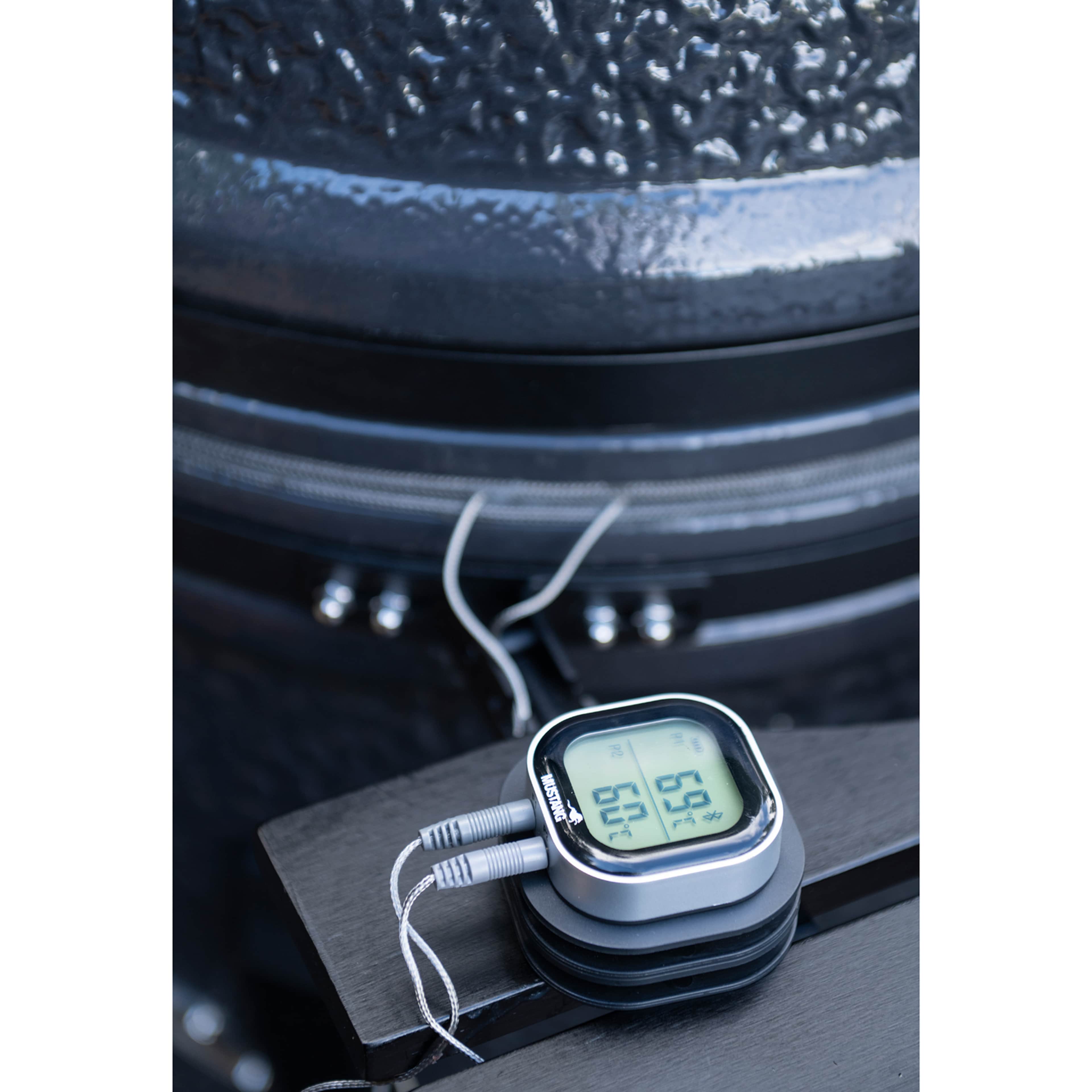 Digital Thermometer