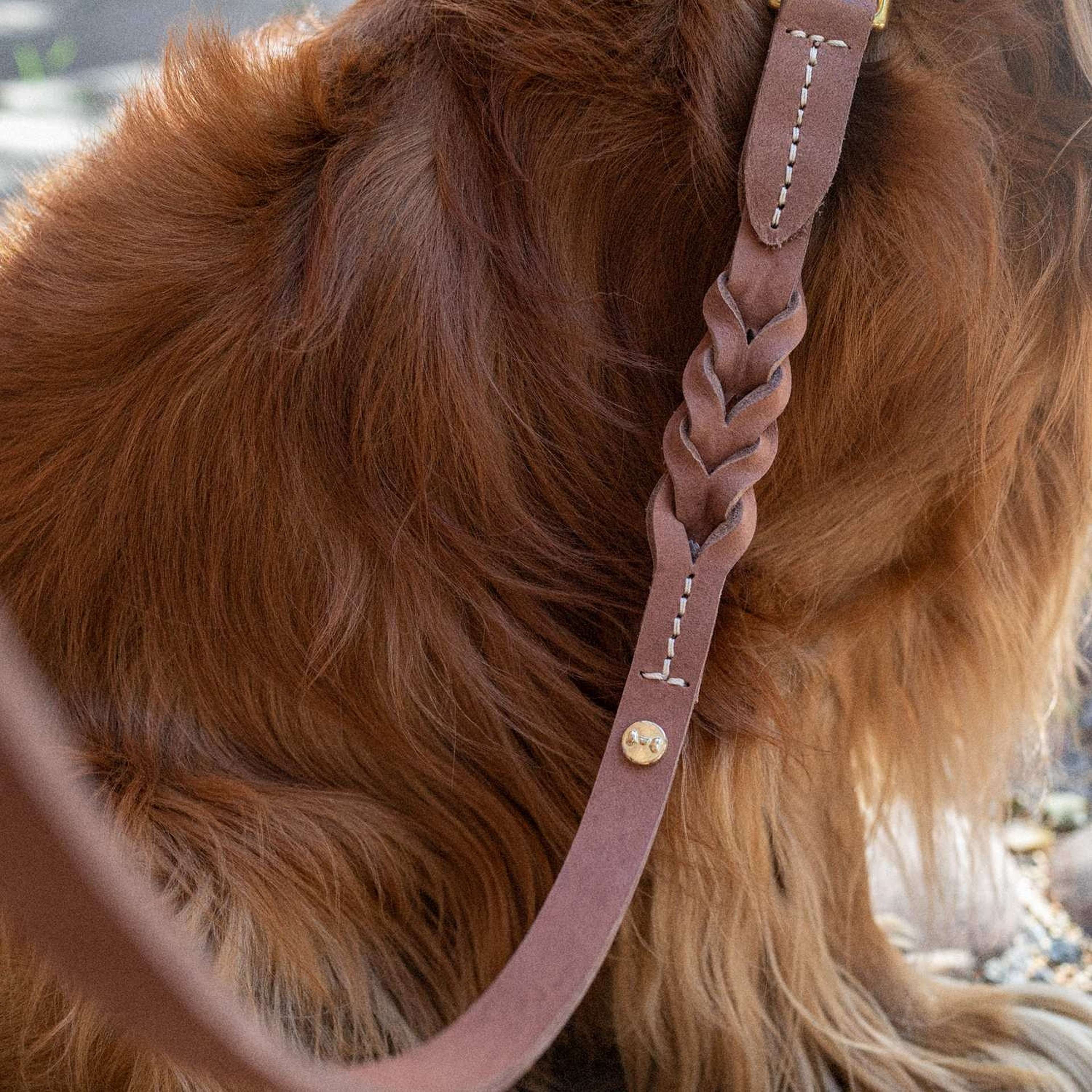 Hundkoppel Stockholm Läder Hazel 155 Cm - Denjo Dogs