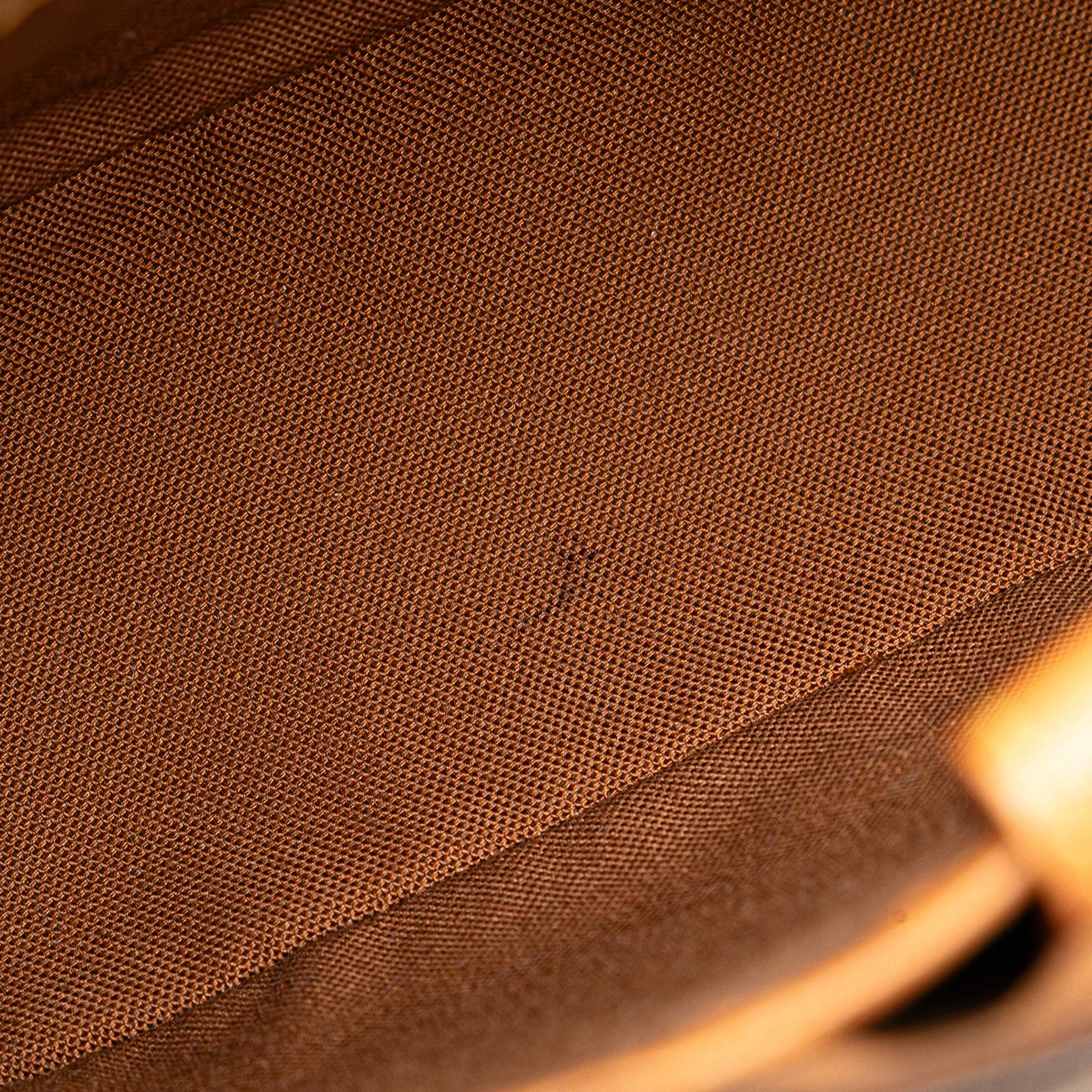 Louis Vuitton Monogram Vavin Pm