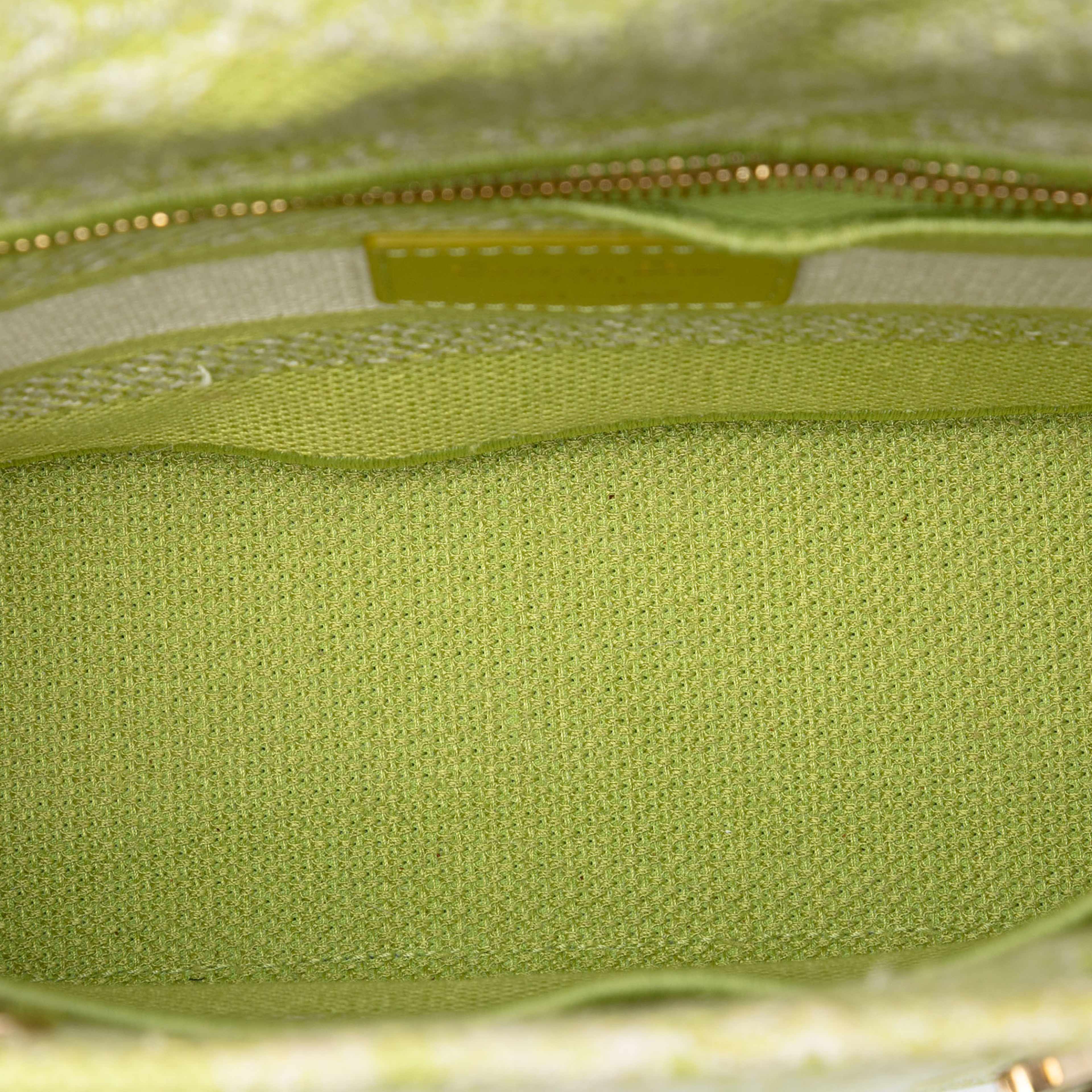Dior Medium Embroidered Canvas Toile De Jouy Lady D Lite, från Luxclusif, i färgen lime. Klicka för att öppna bilden i stort format